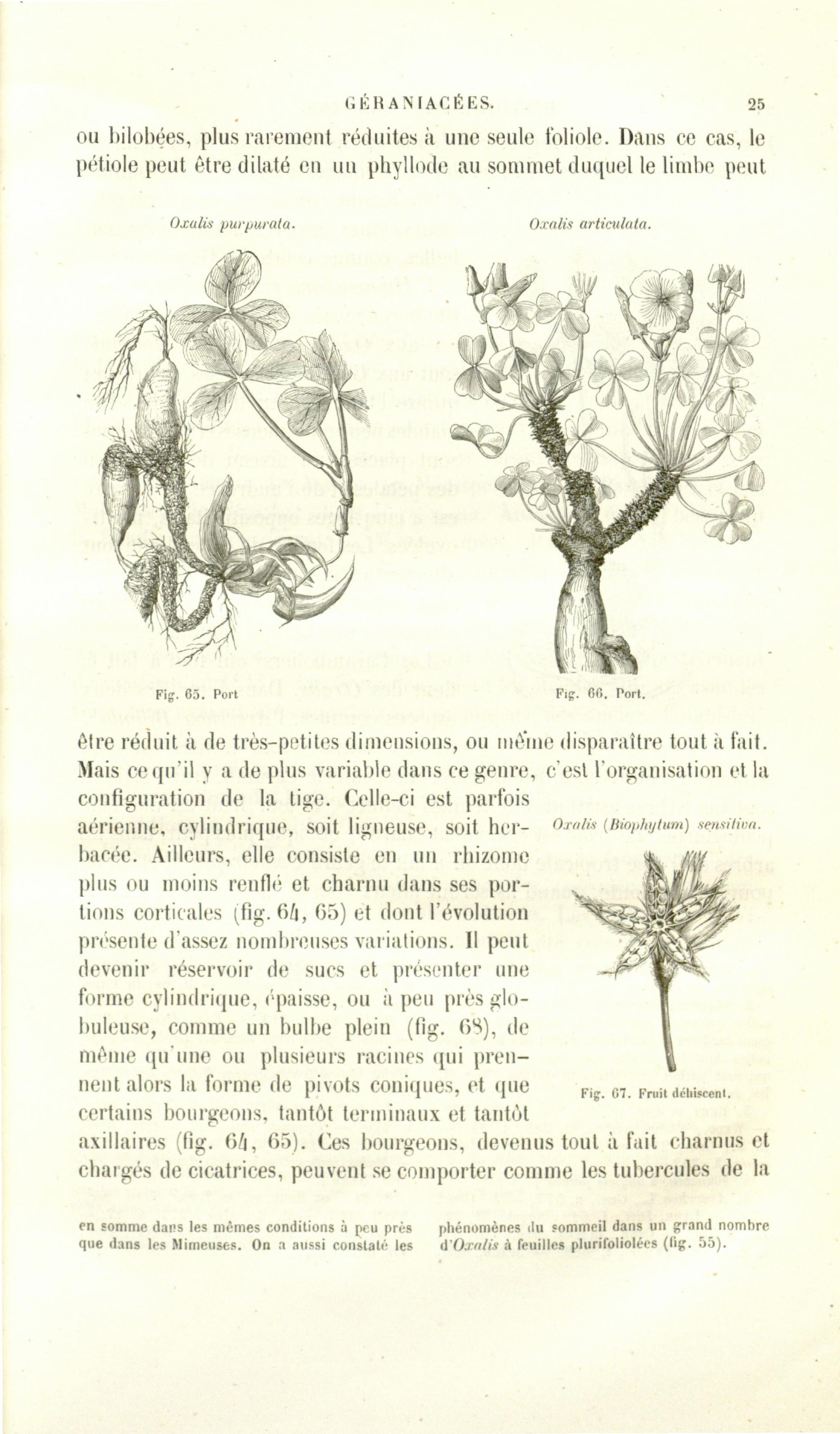 no full size  illustration available (3a)