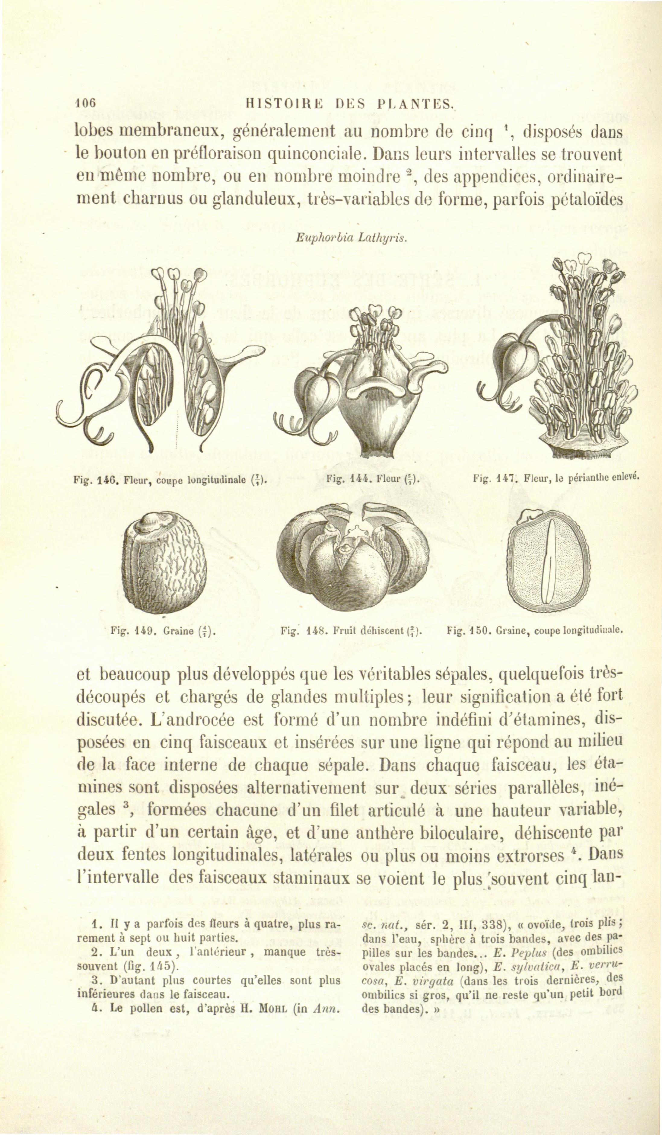 no full size  illustration available (3a)