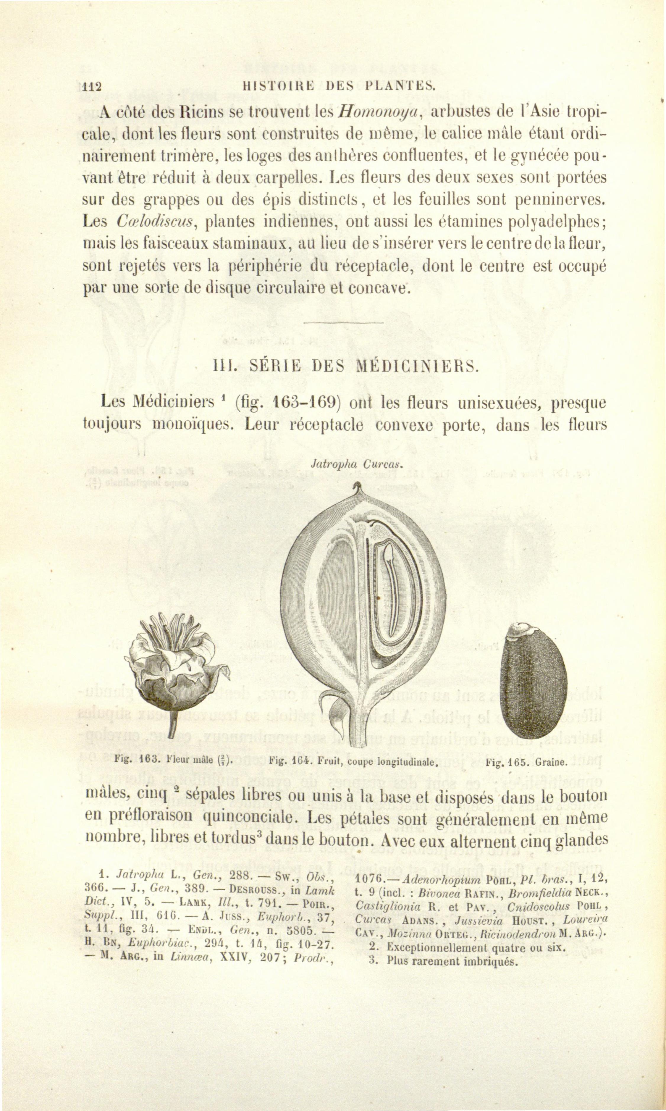 no full size  illustration available (3a)