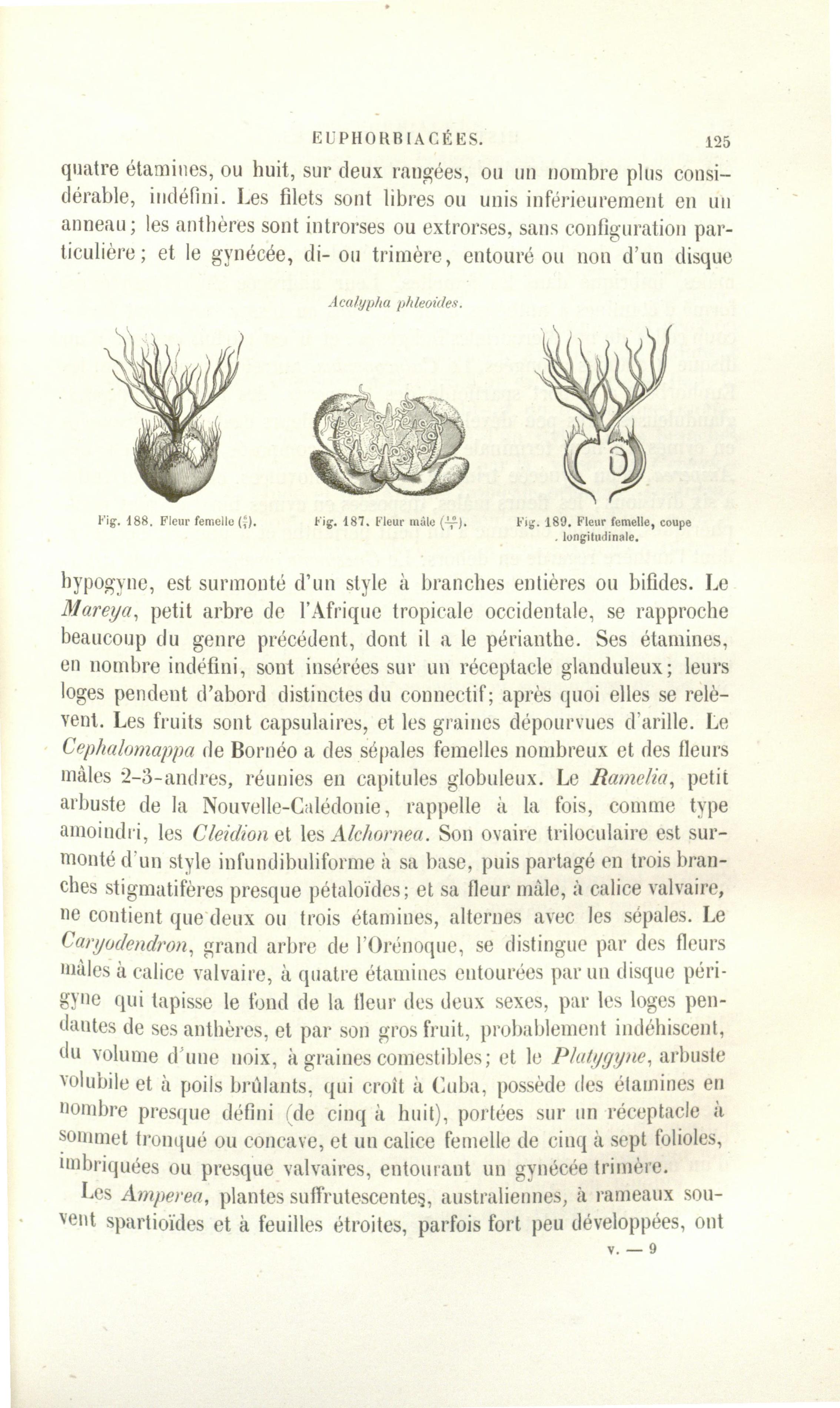 no full size  illustration available (3a)