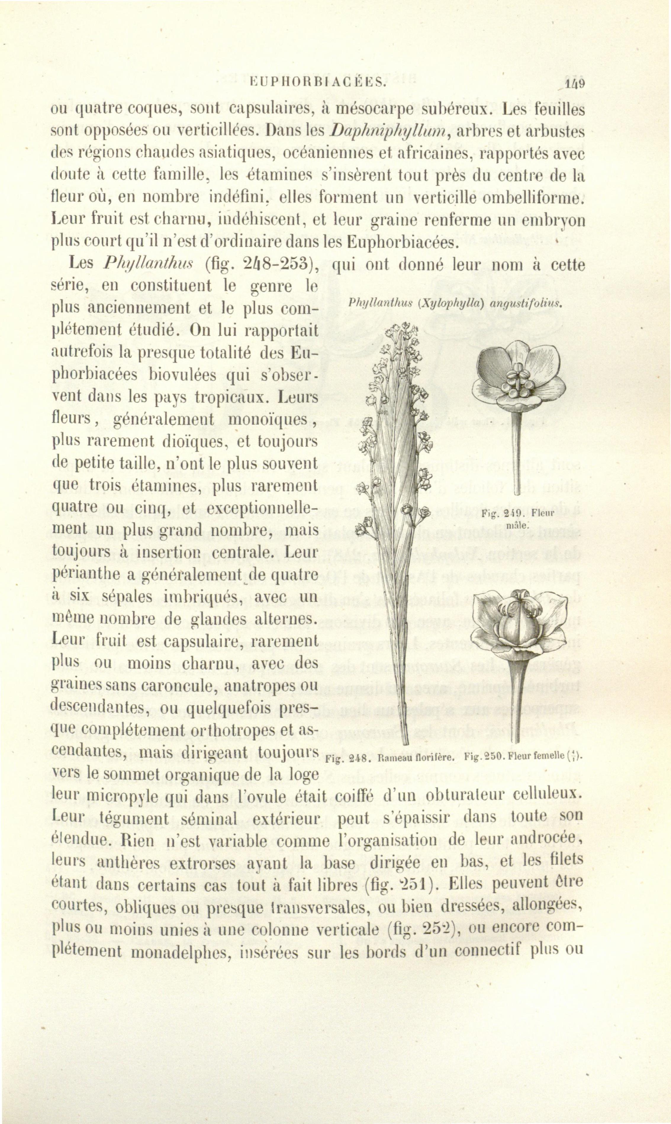 no full size  illustration available (3a)