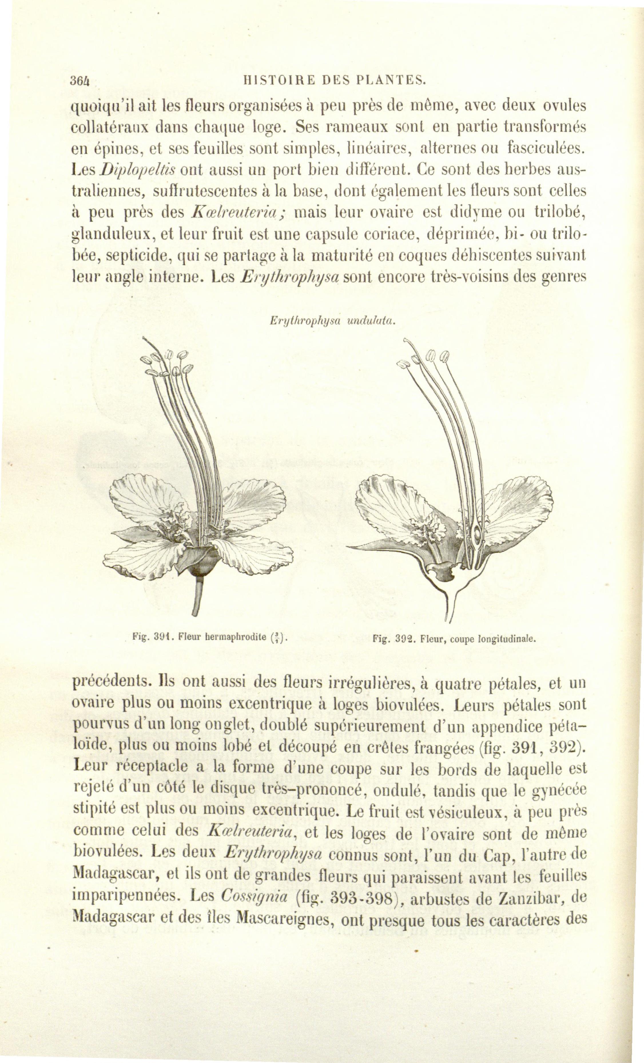 no full size  illustration available (3a)