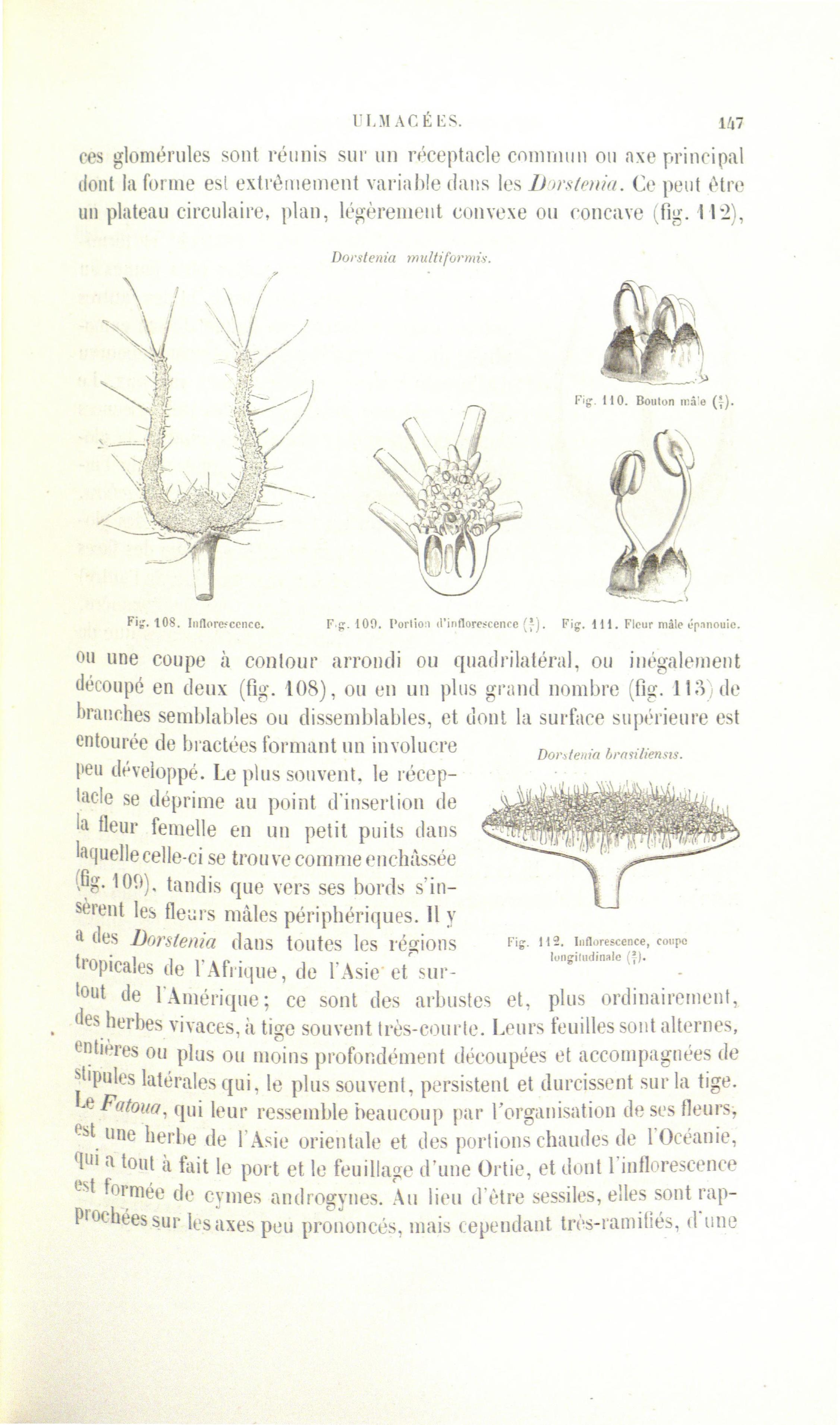 no full size  illustration available (3a)