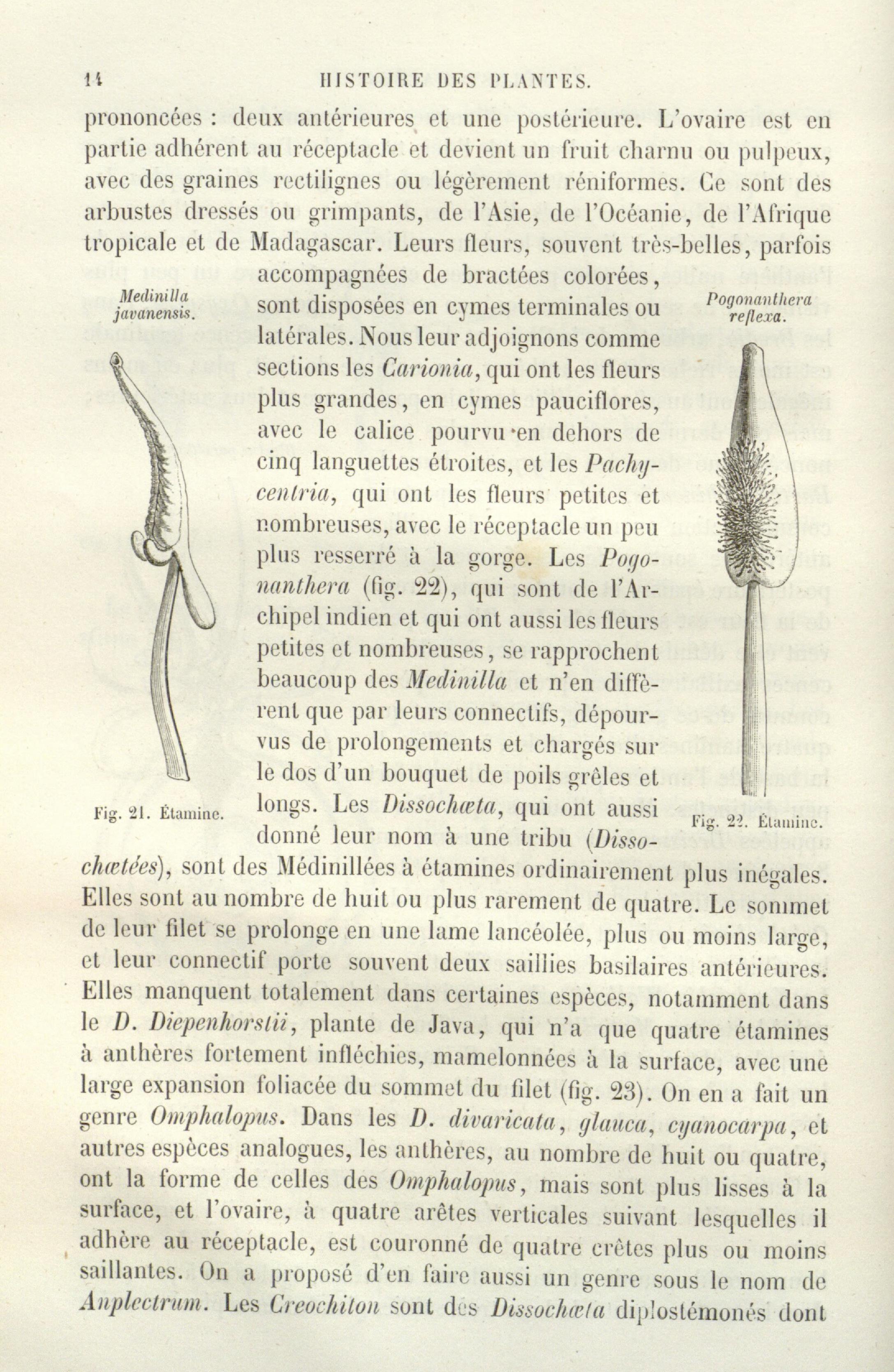 no full size  illustration available (3a)