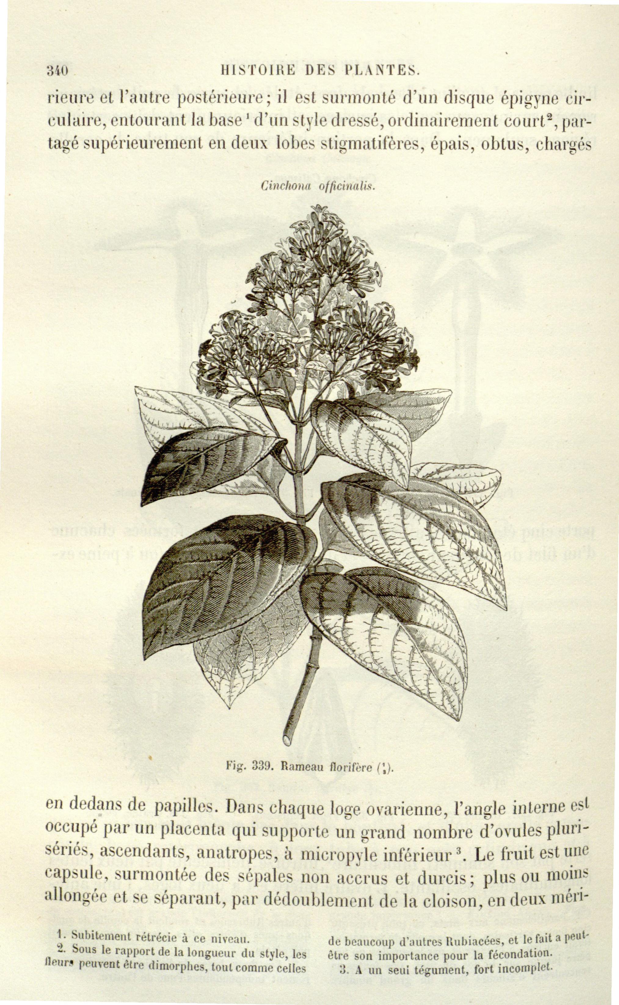 no full size  illustration available (3a)