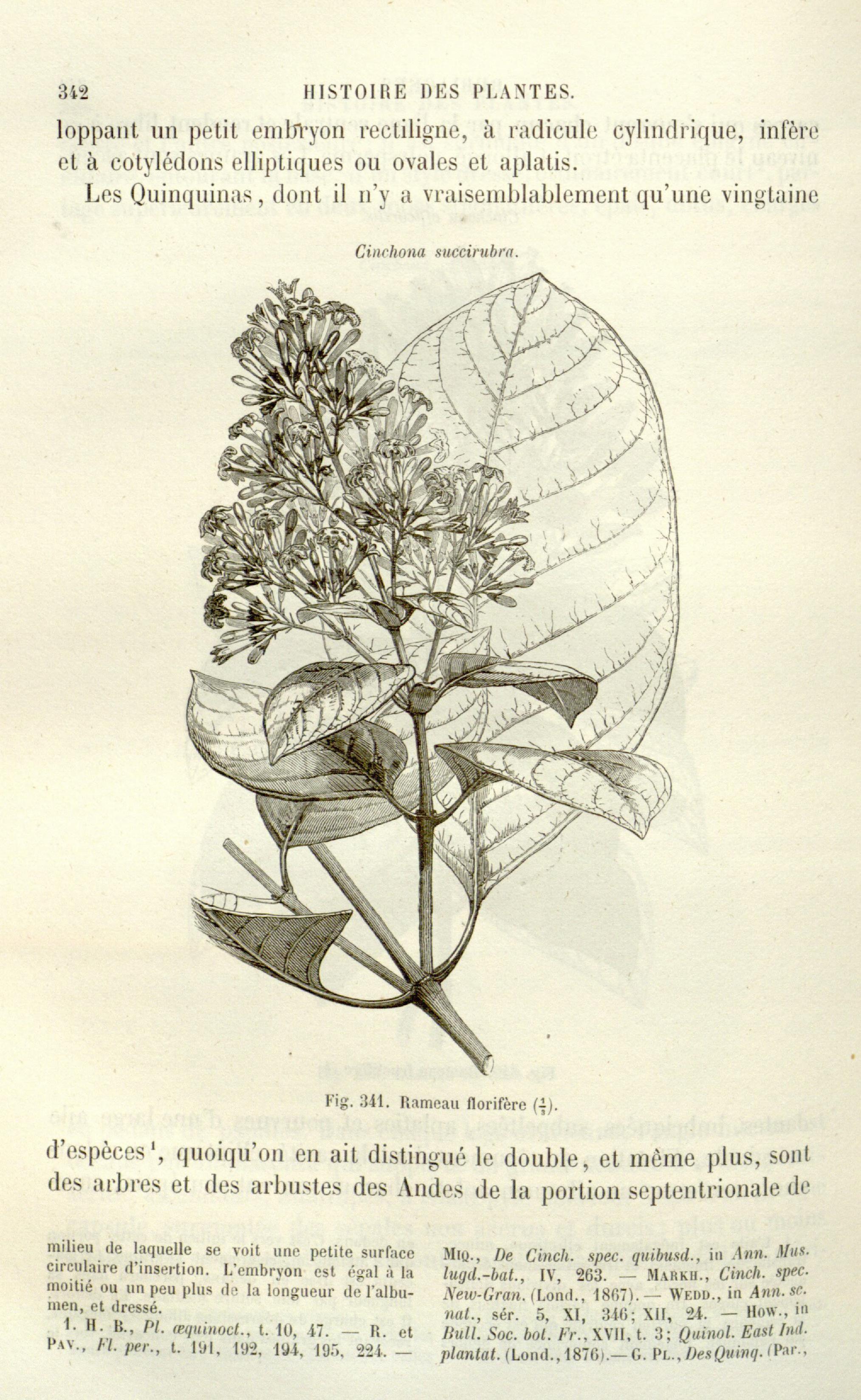 no full size  illustration available (3a)