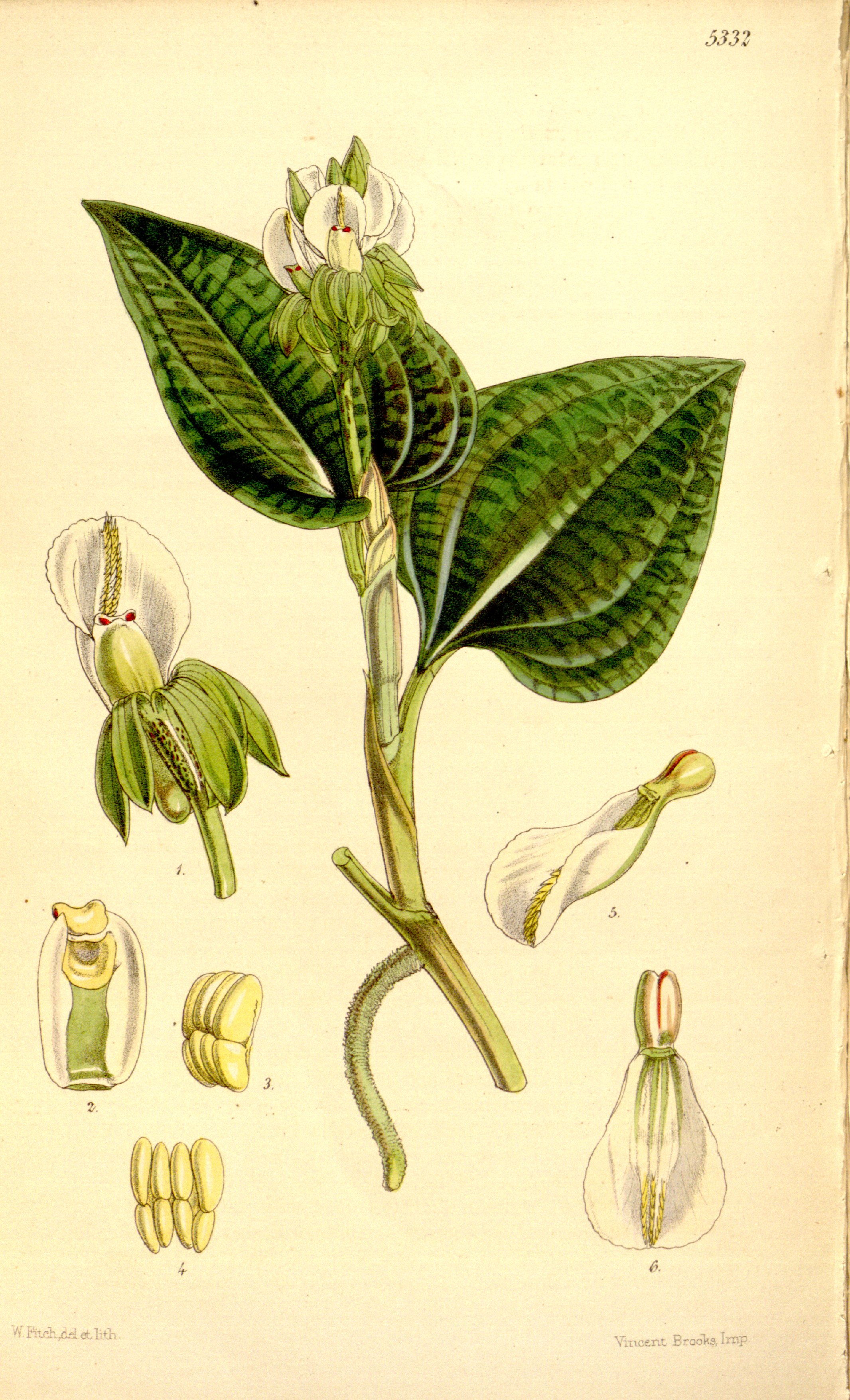 no full size  illustration available (3a)