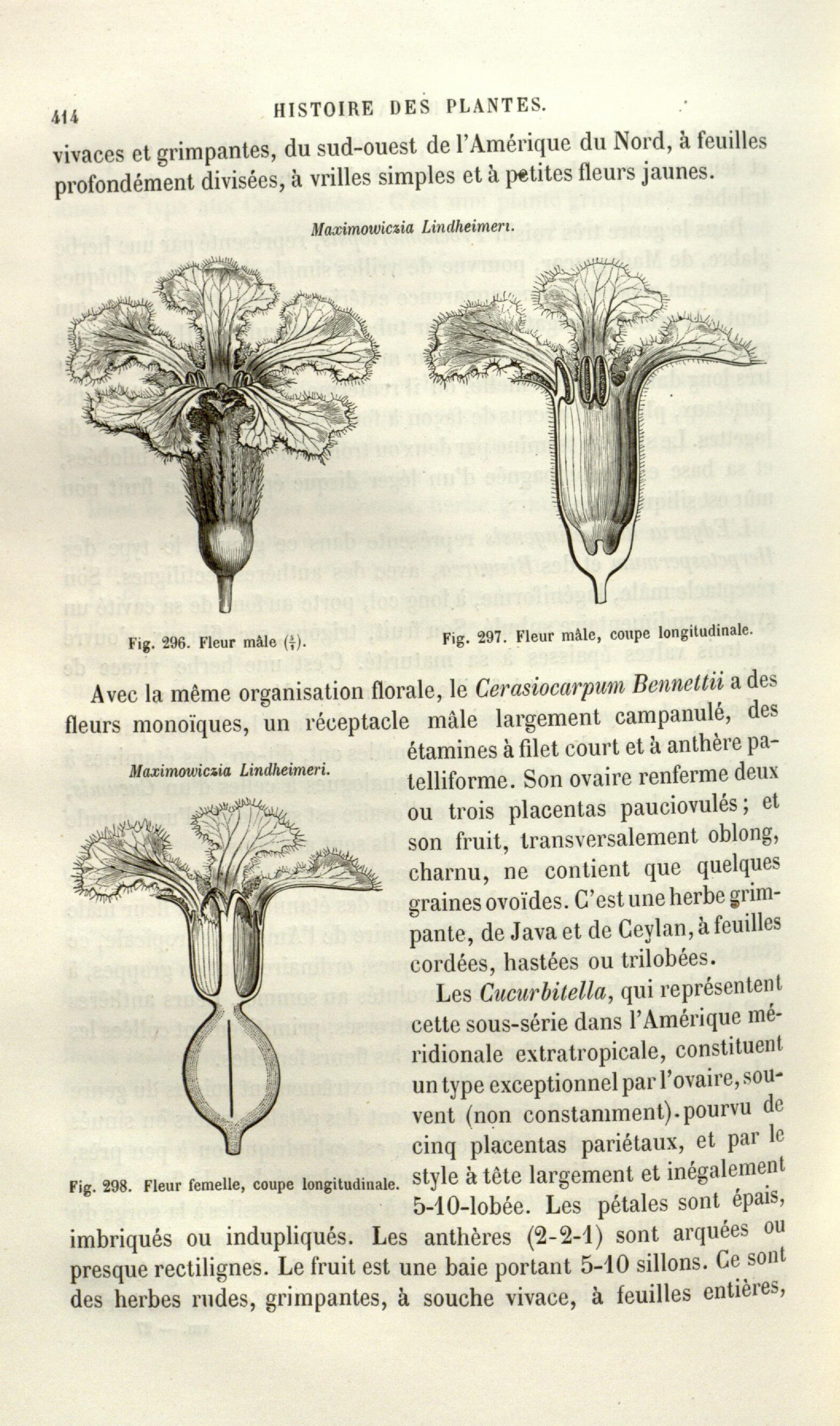 no full size  illustration available (3a)