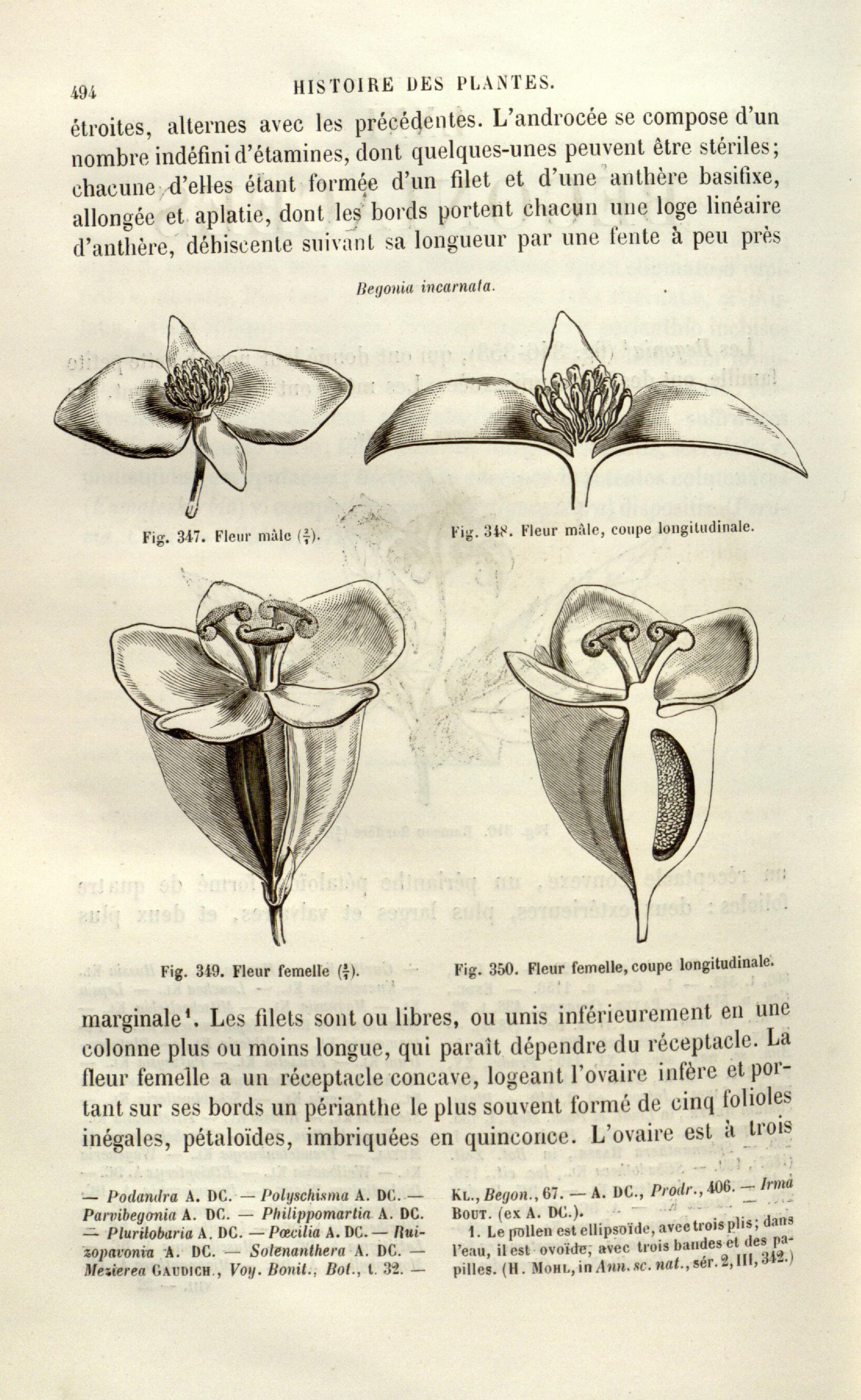 no full size  illustration available (3a)