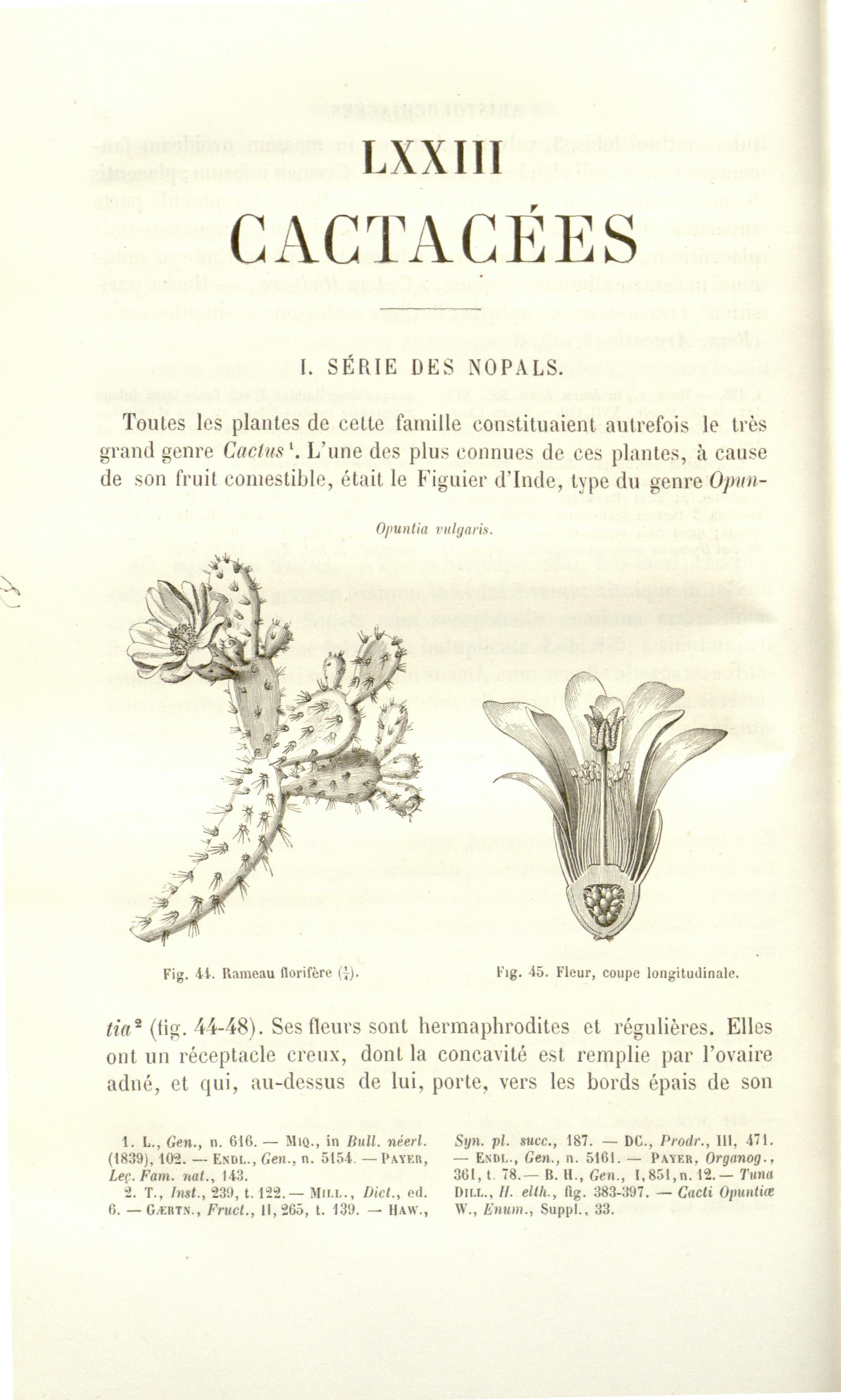 no full size  illustration available (3a)