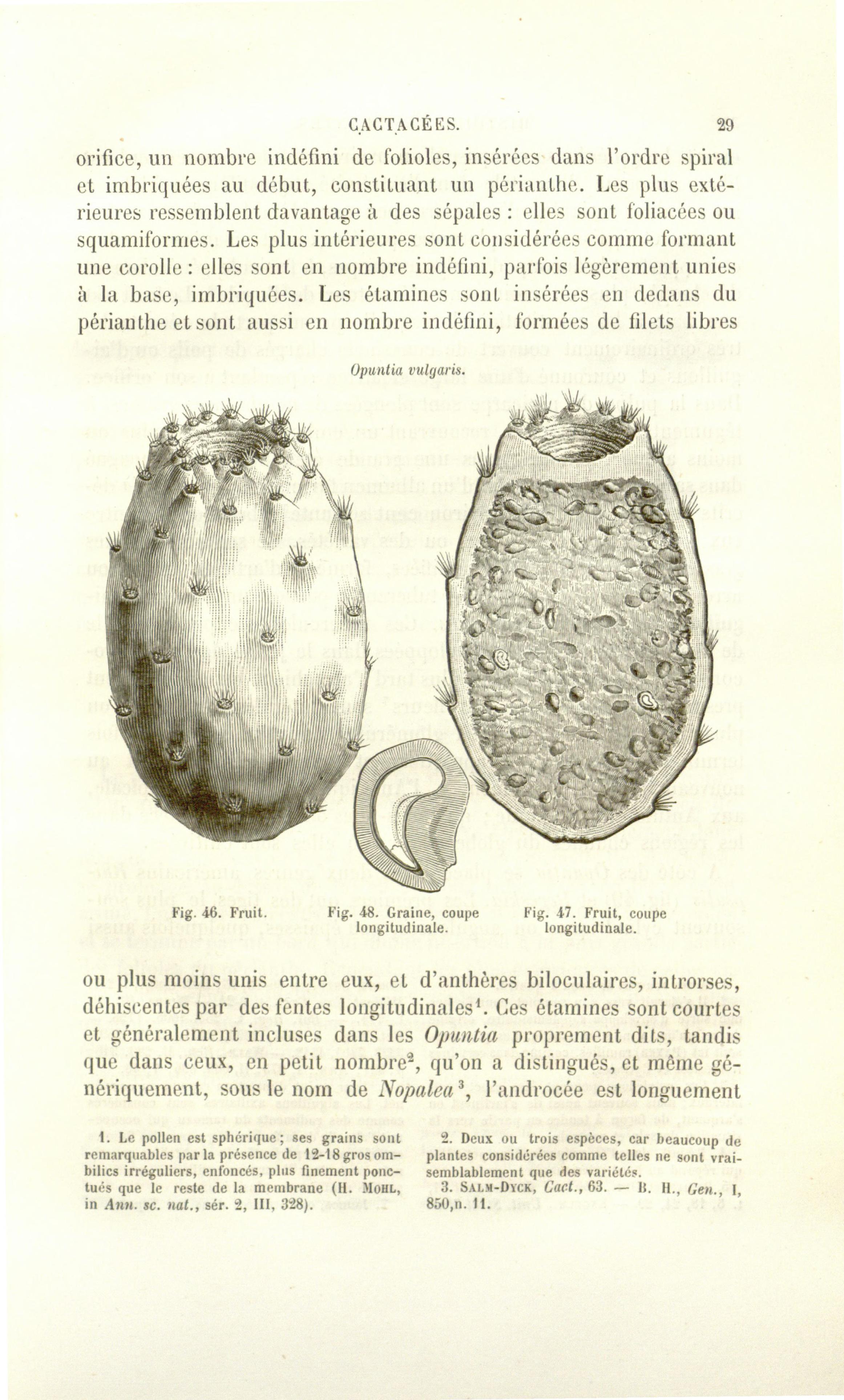 no full size  illustration available (3a)