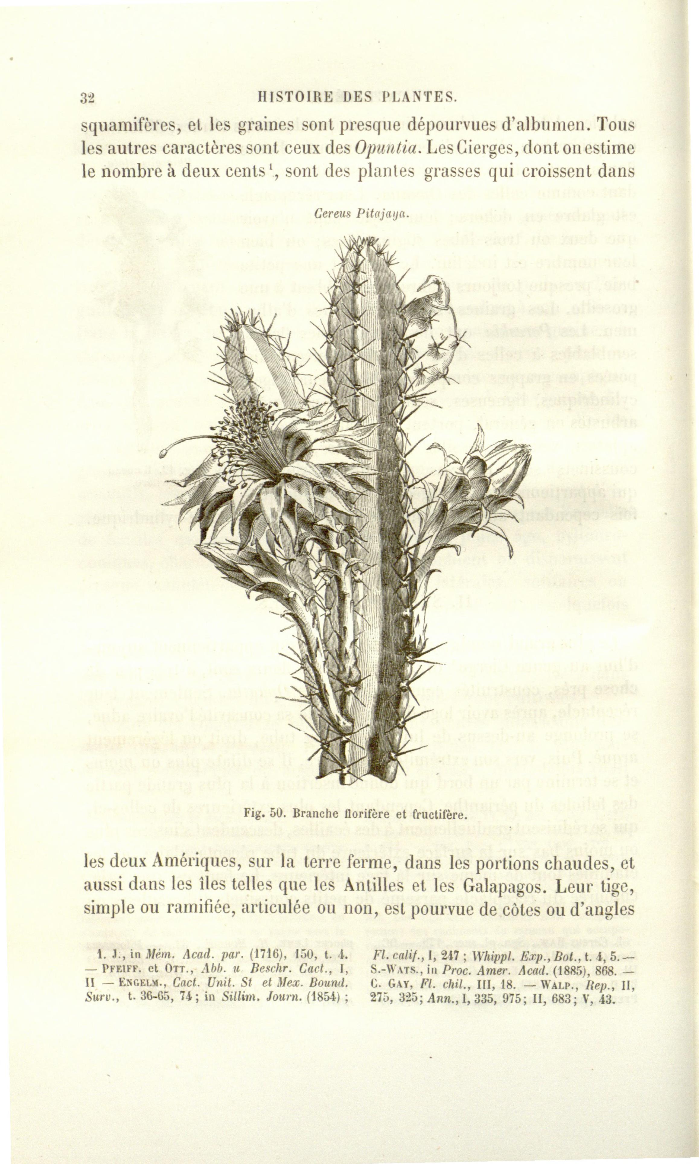 no full size  illustration available (3a)