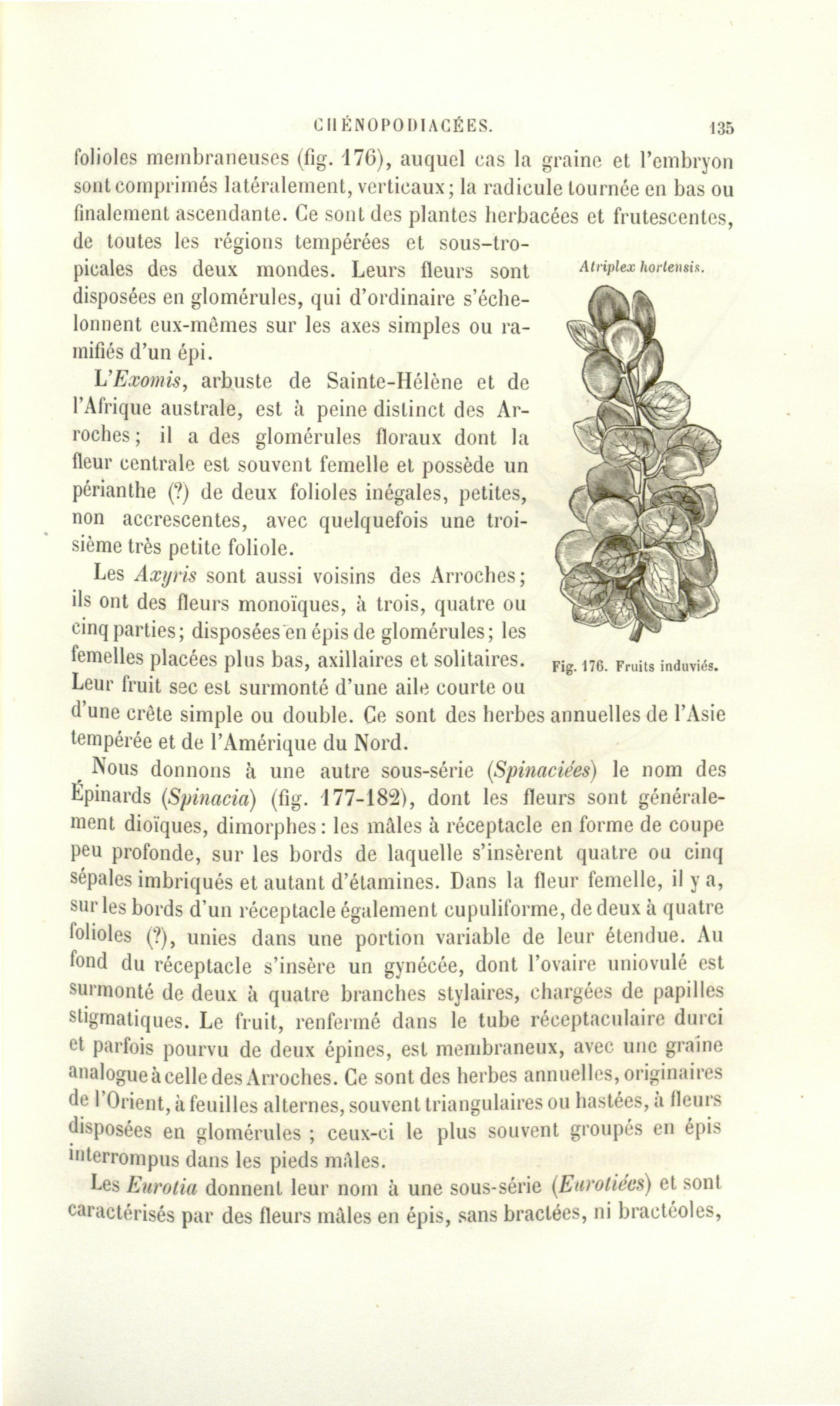 no full size  illustration available (3a)