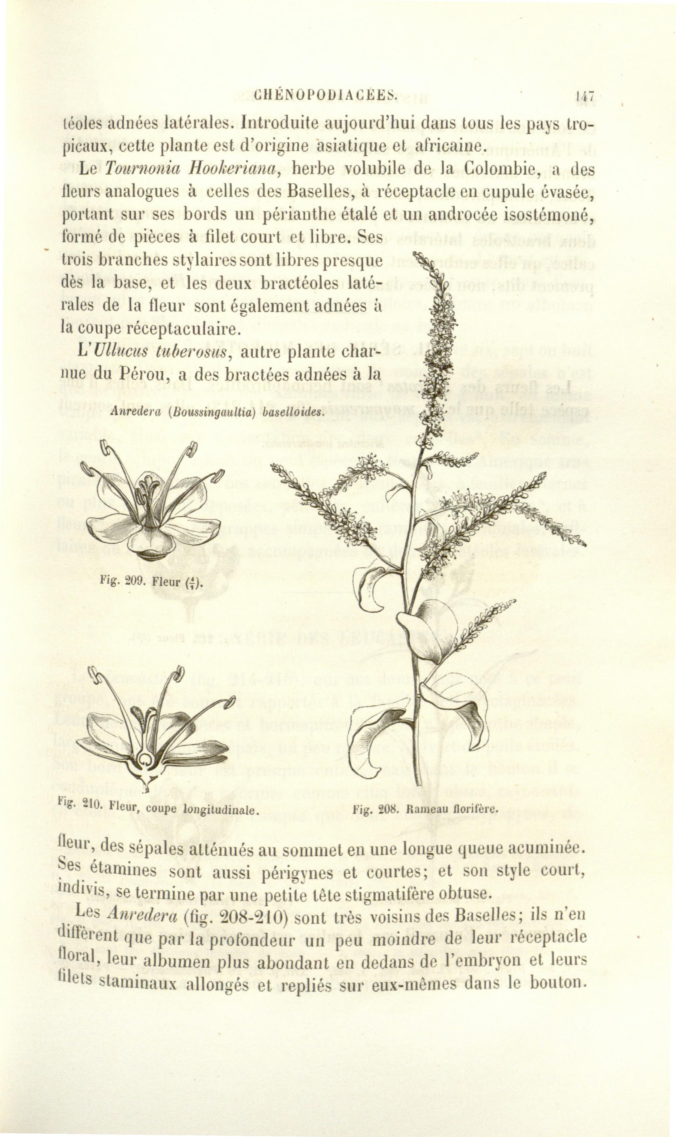 no full size  illustration available (3a)