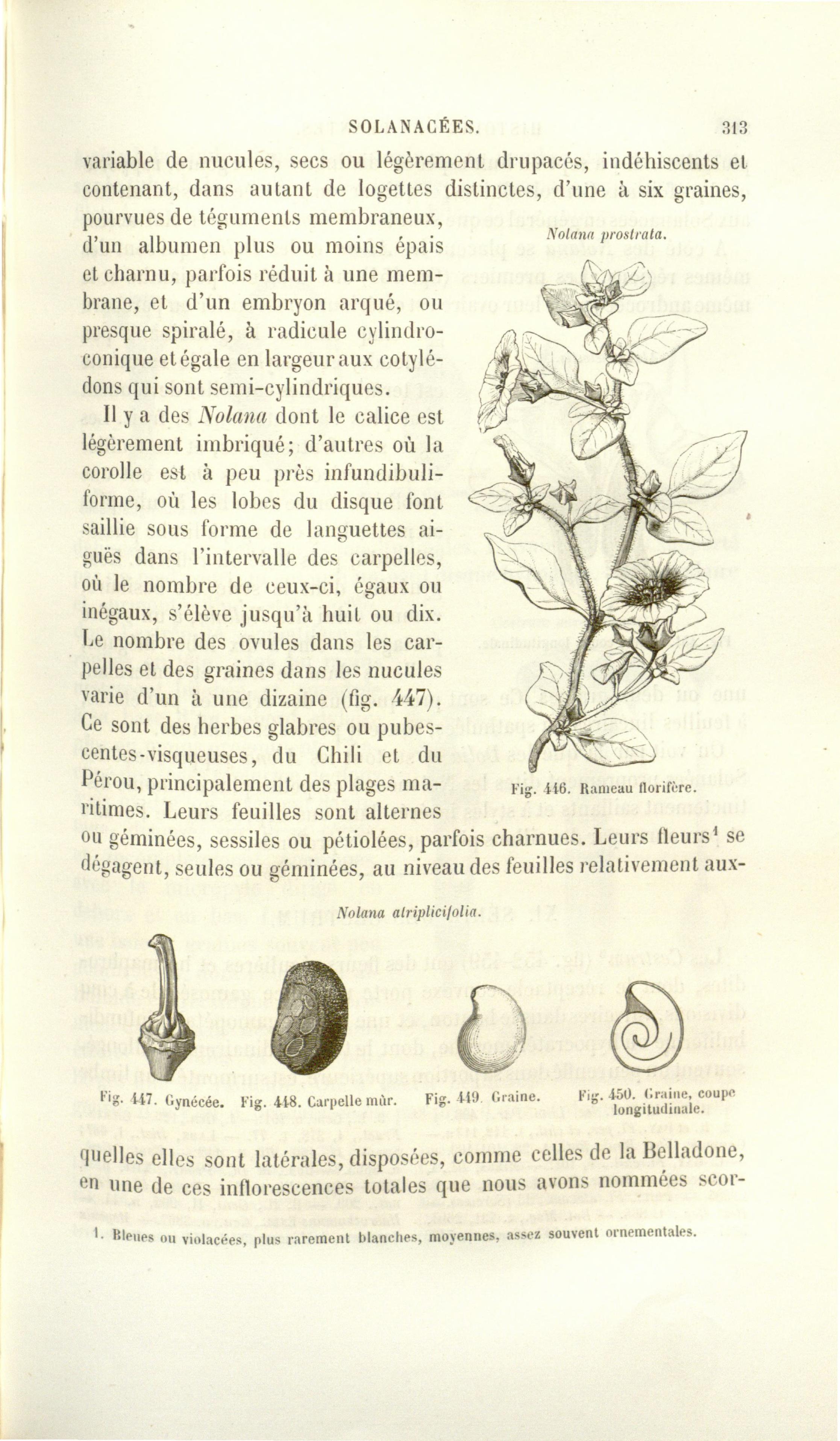 no full size  illustration available (3a)