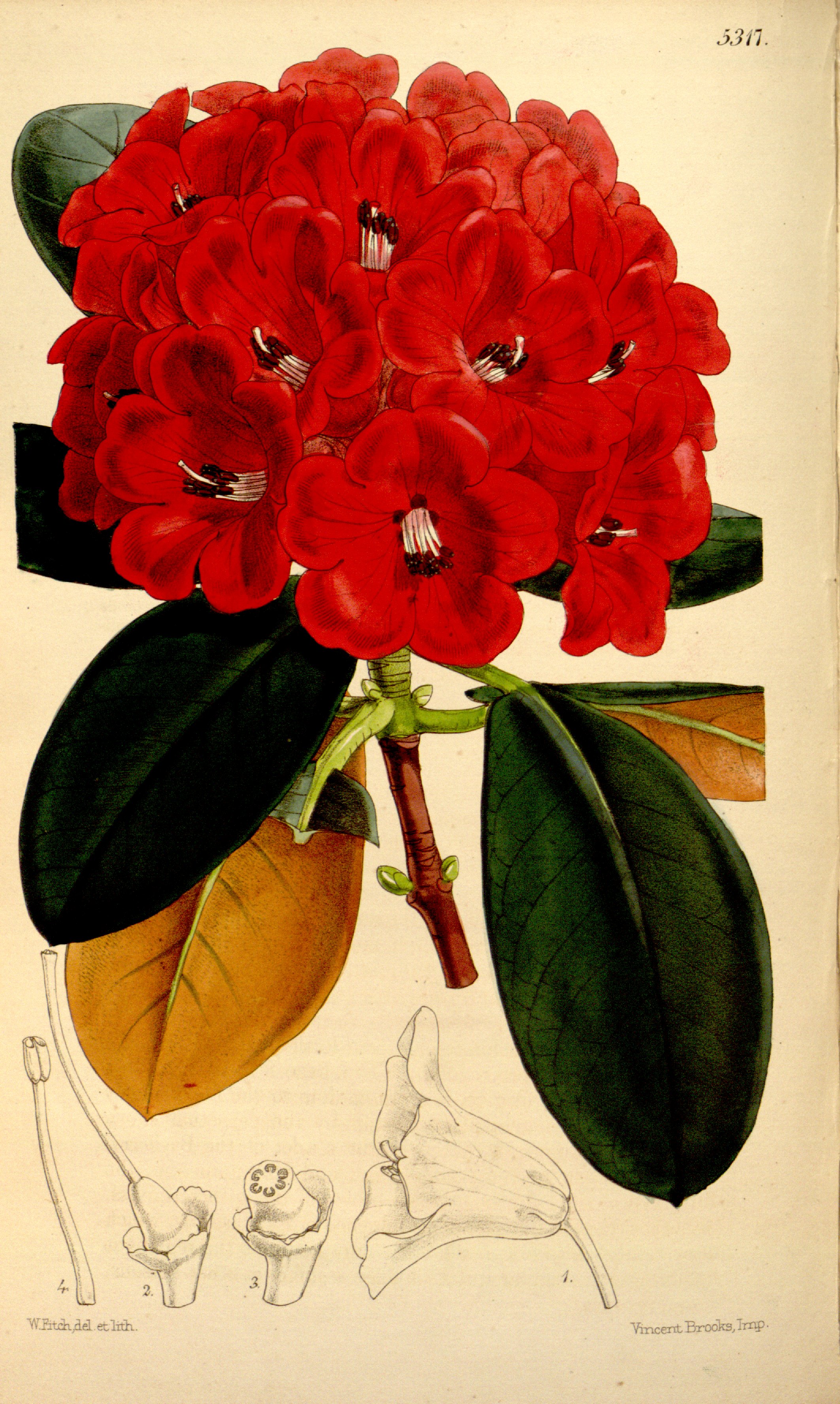 no full size  illustration available (3a)