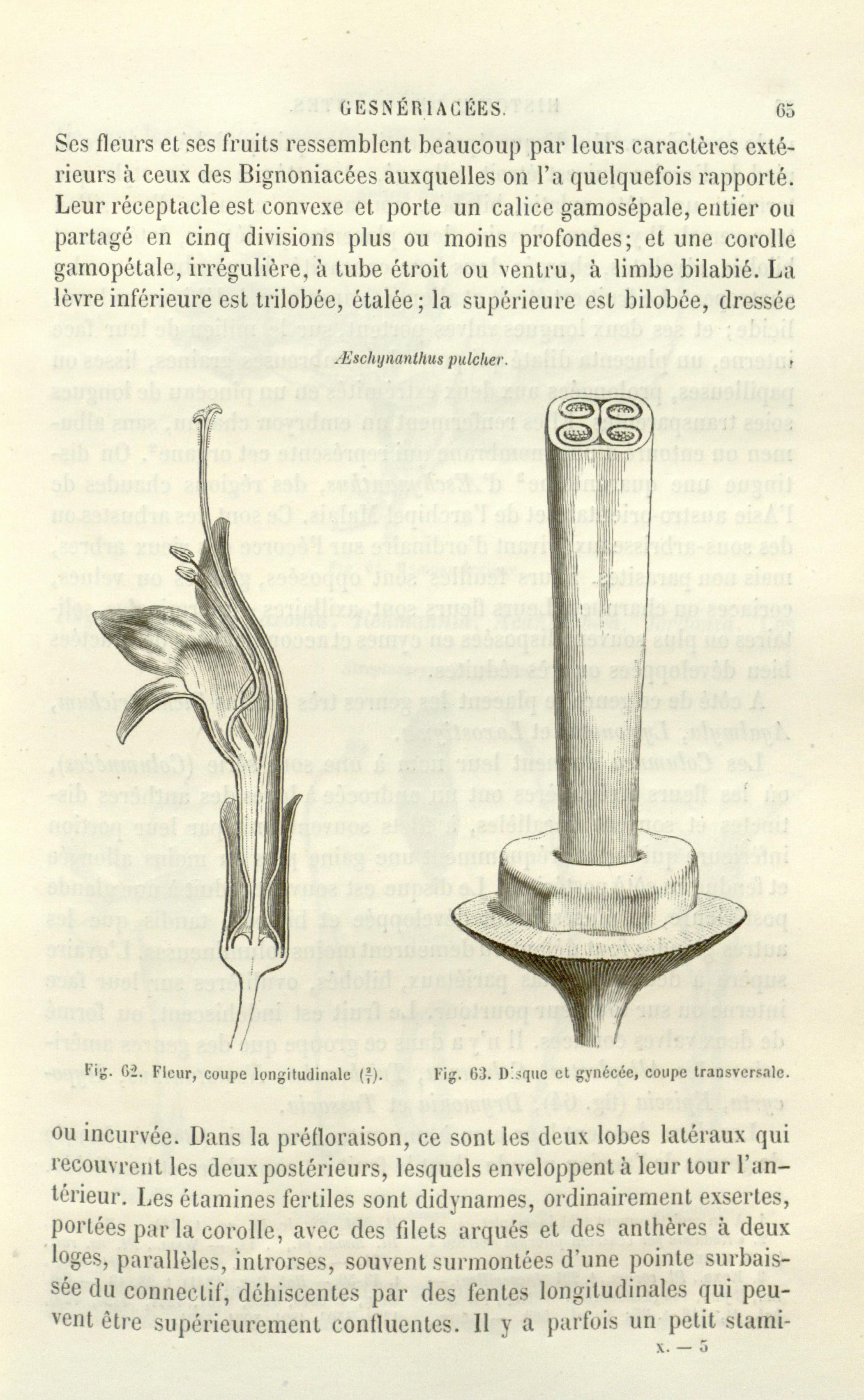 no full size  illustration available (3a)