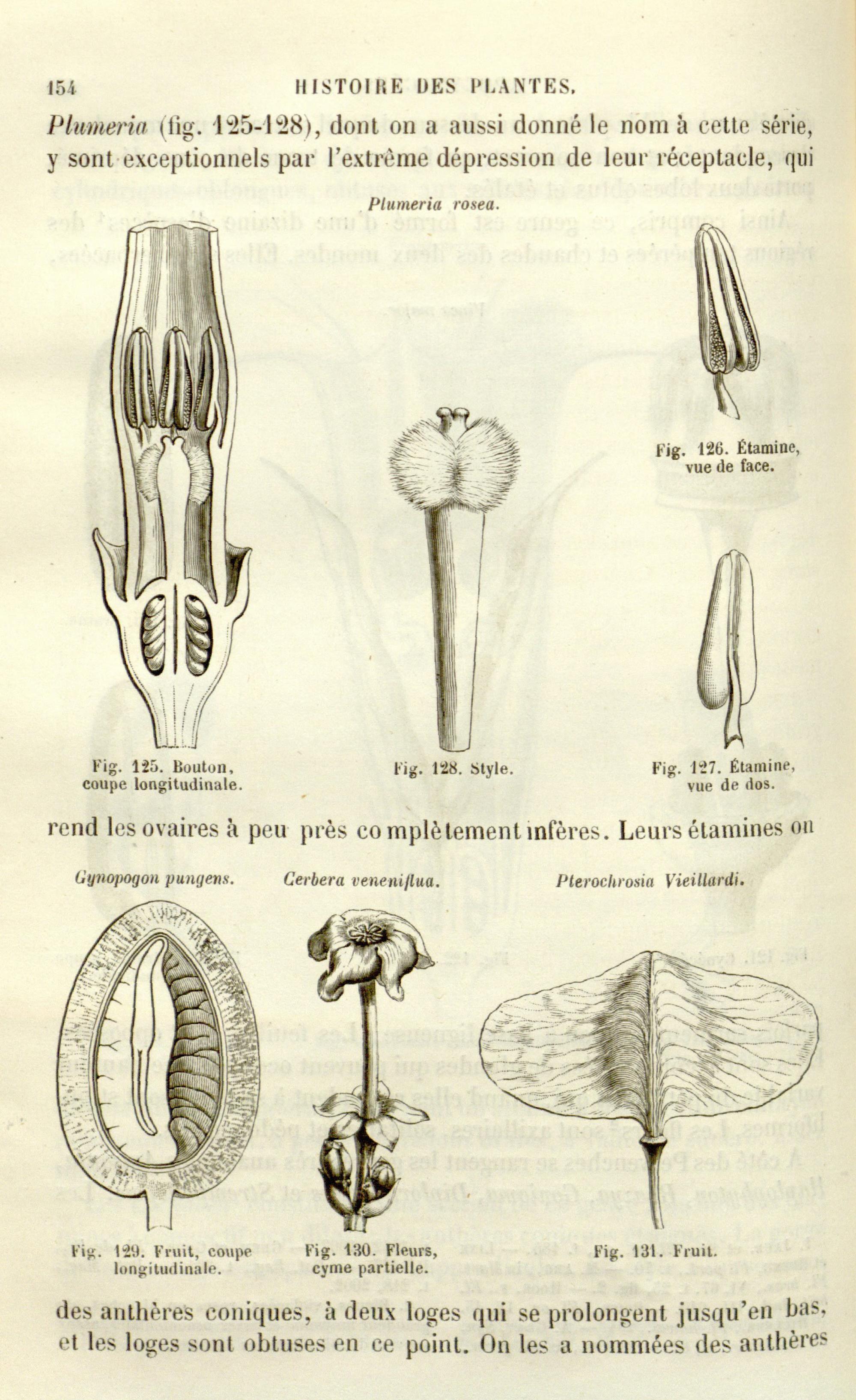 no full size  illustration available (3a)