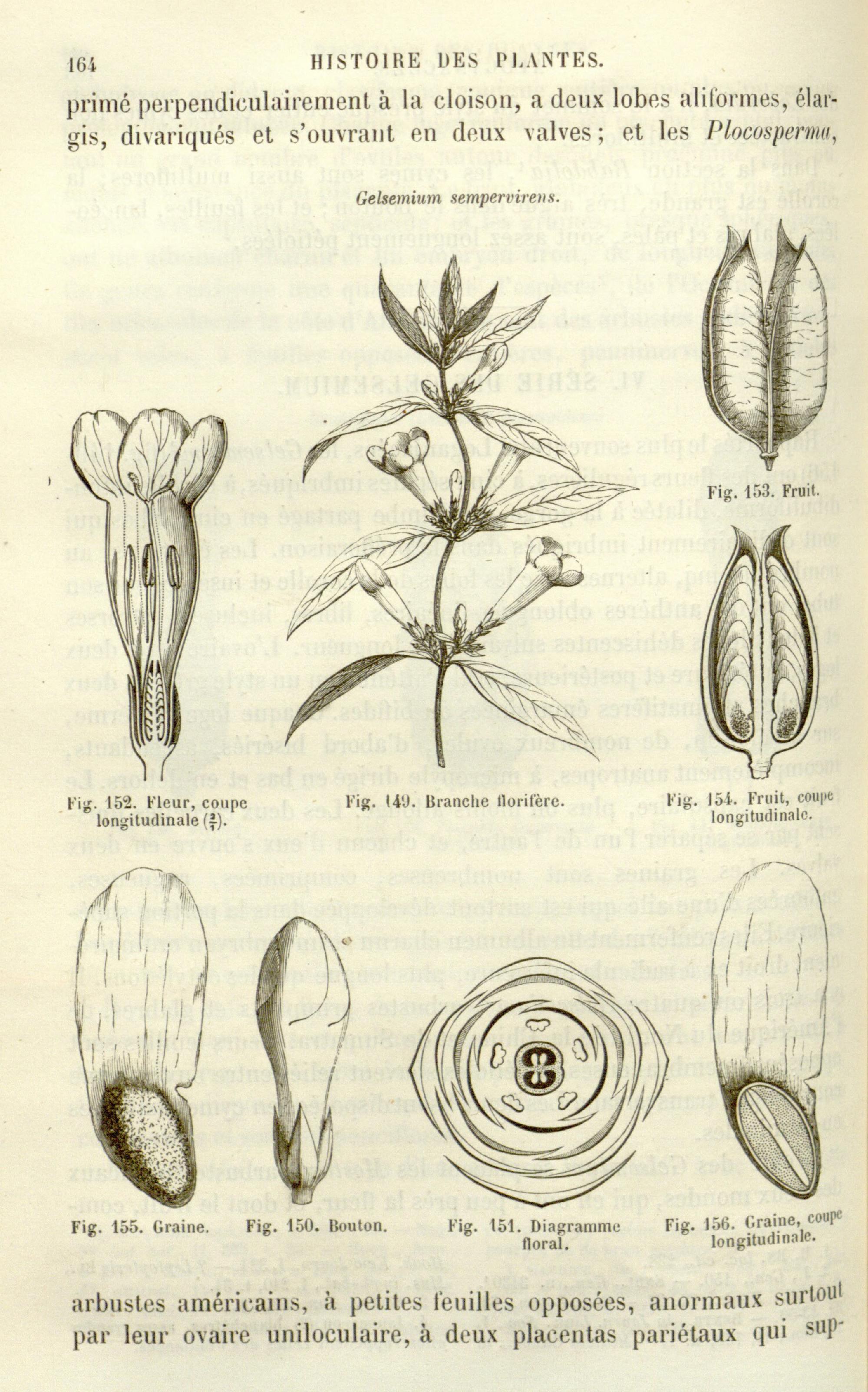 no full size  illustration available (3a)