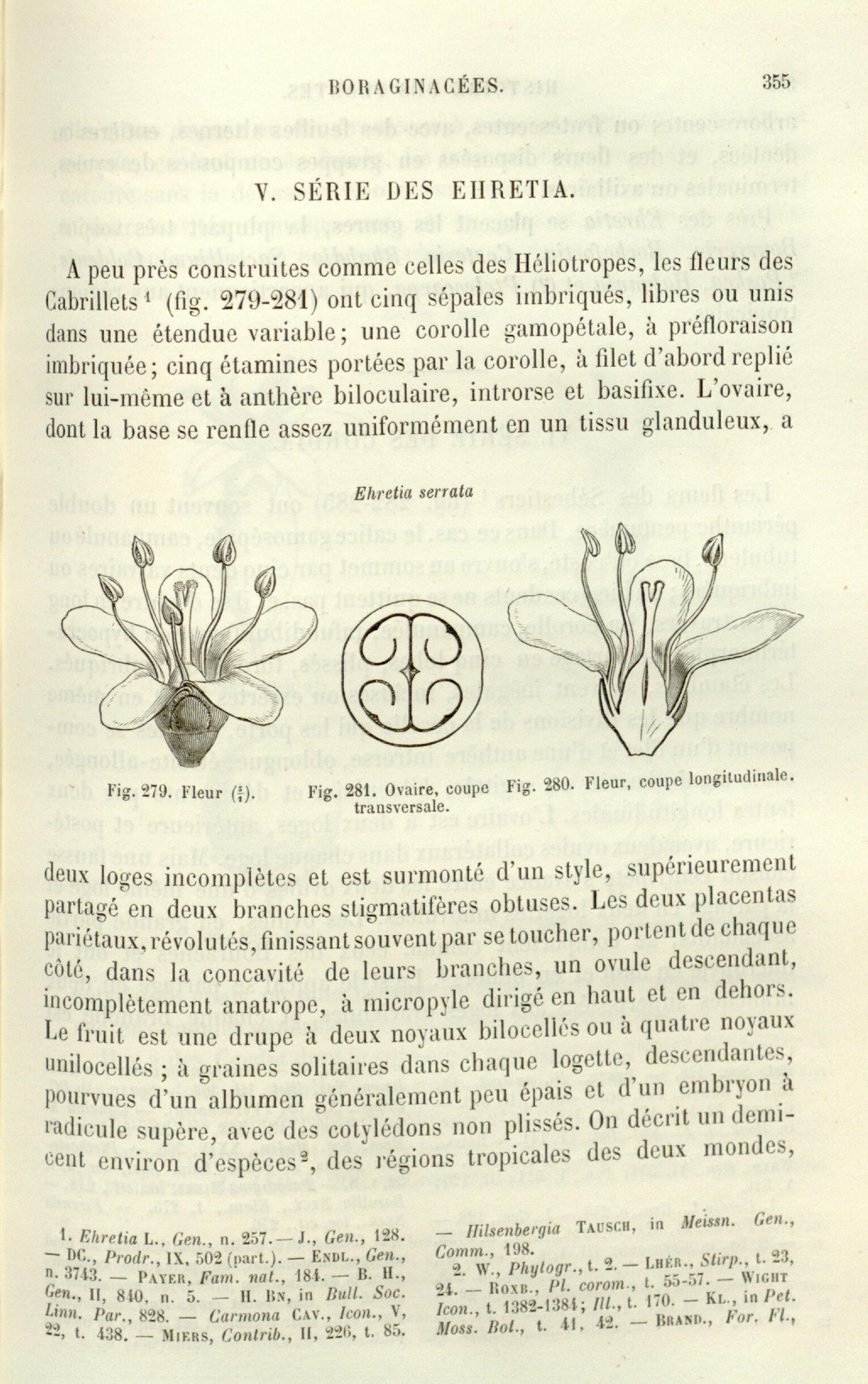 no full size  illustration available (3a)