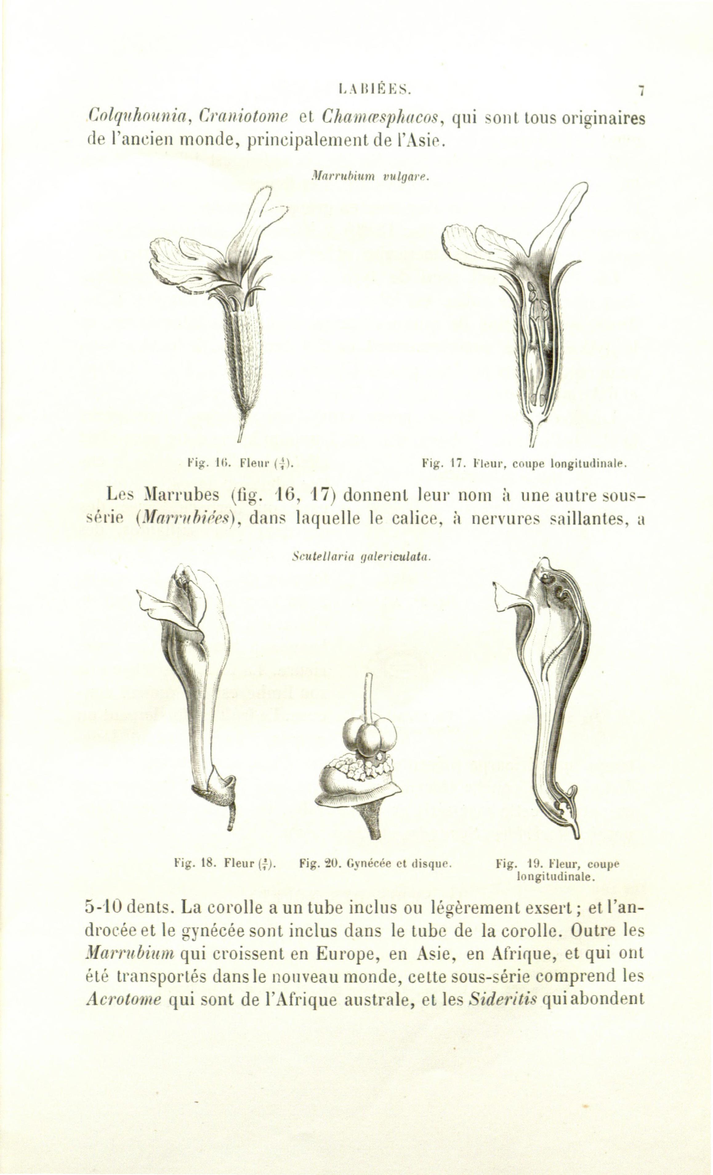 no full size  illustration available (3a)