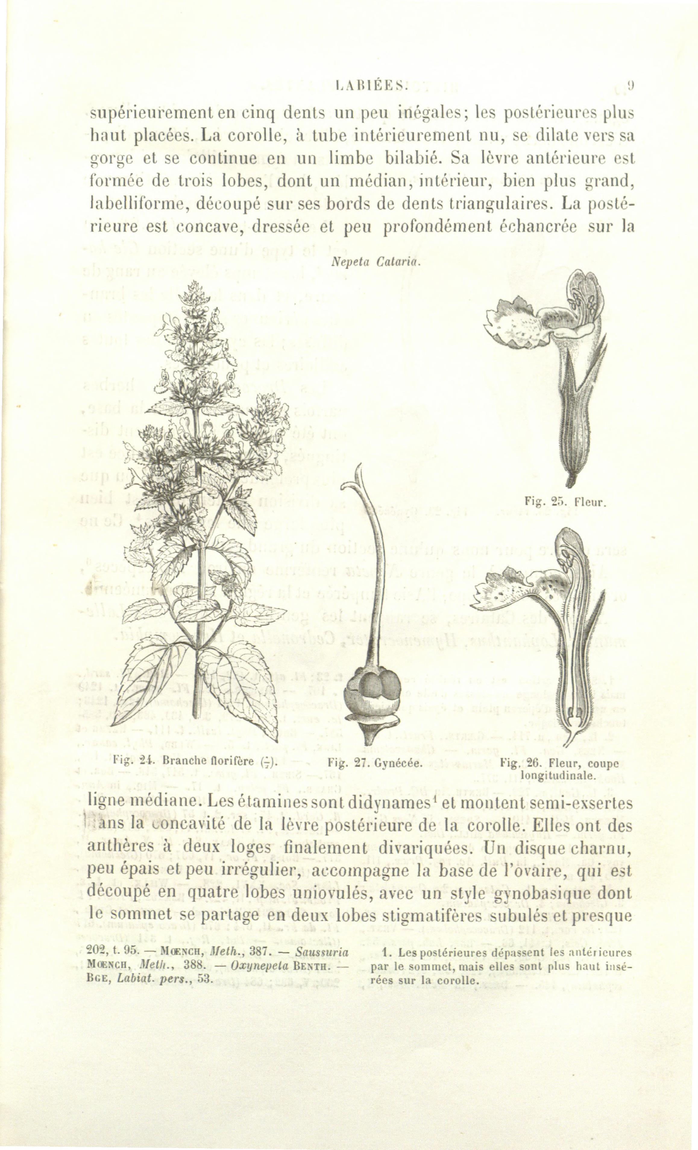 no full size  illustration available (3a)