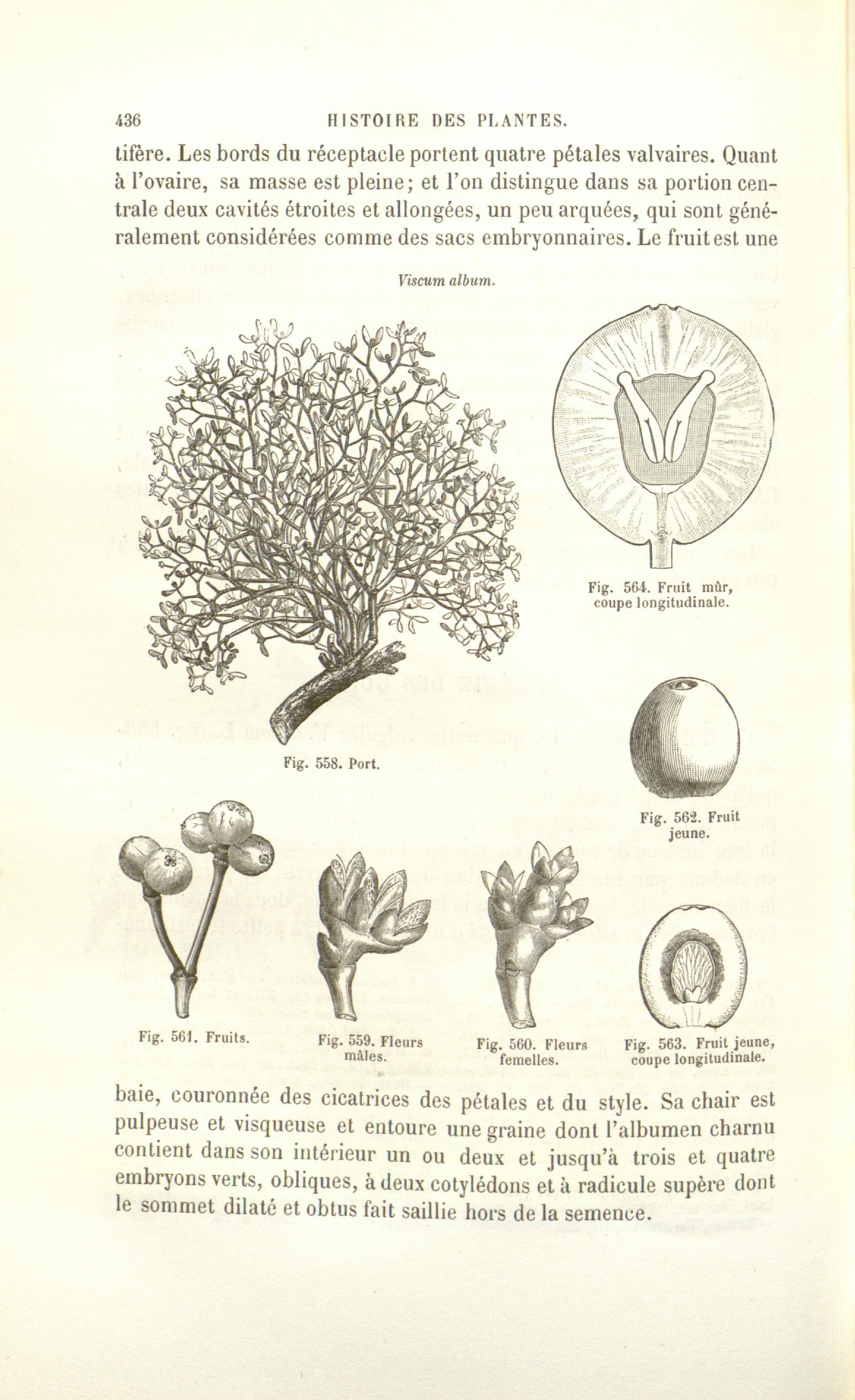 no full size  illustration available (3a)