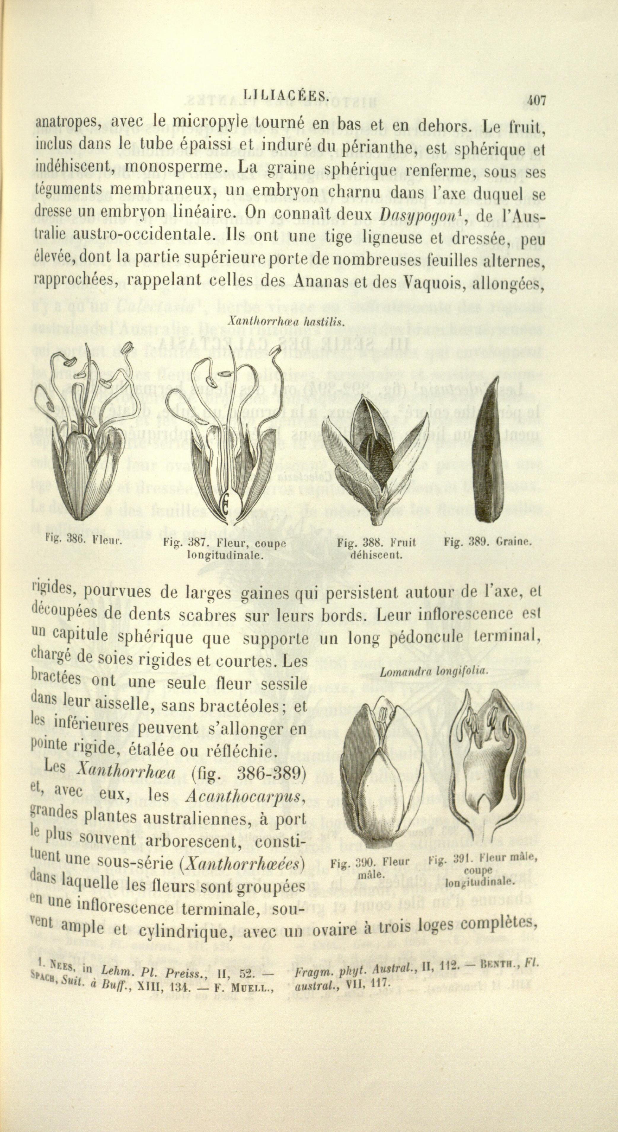 no full size  illustration available (3a)