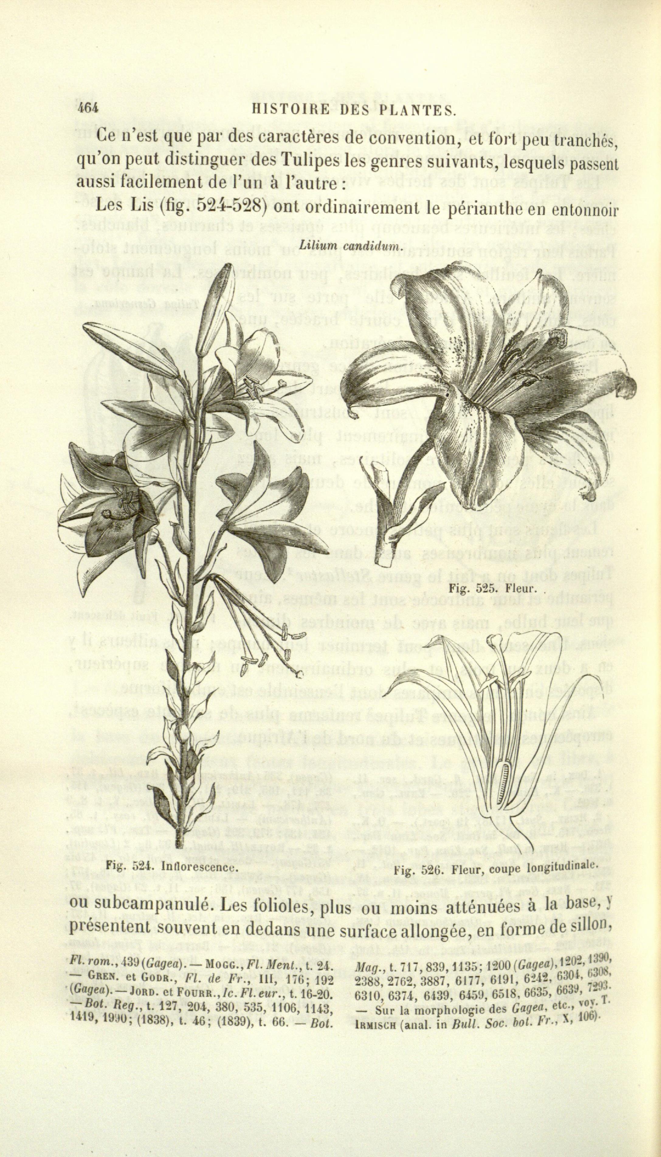 no full size  illustration available (3a)