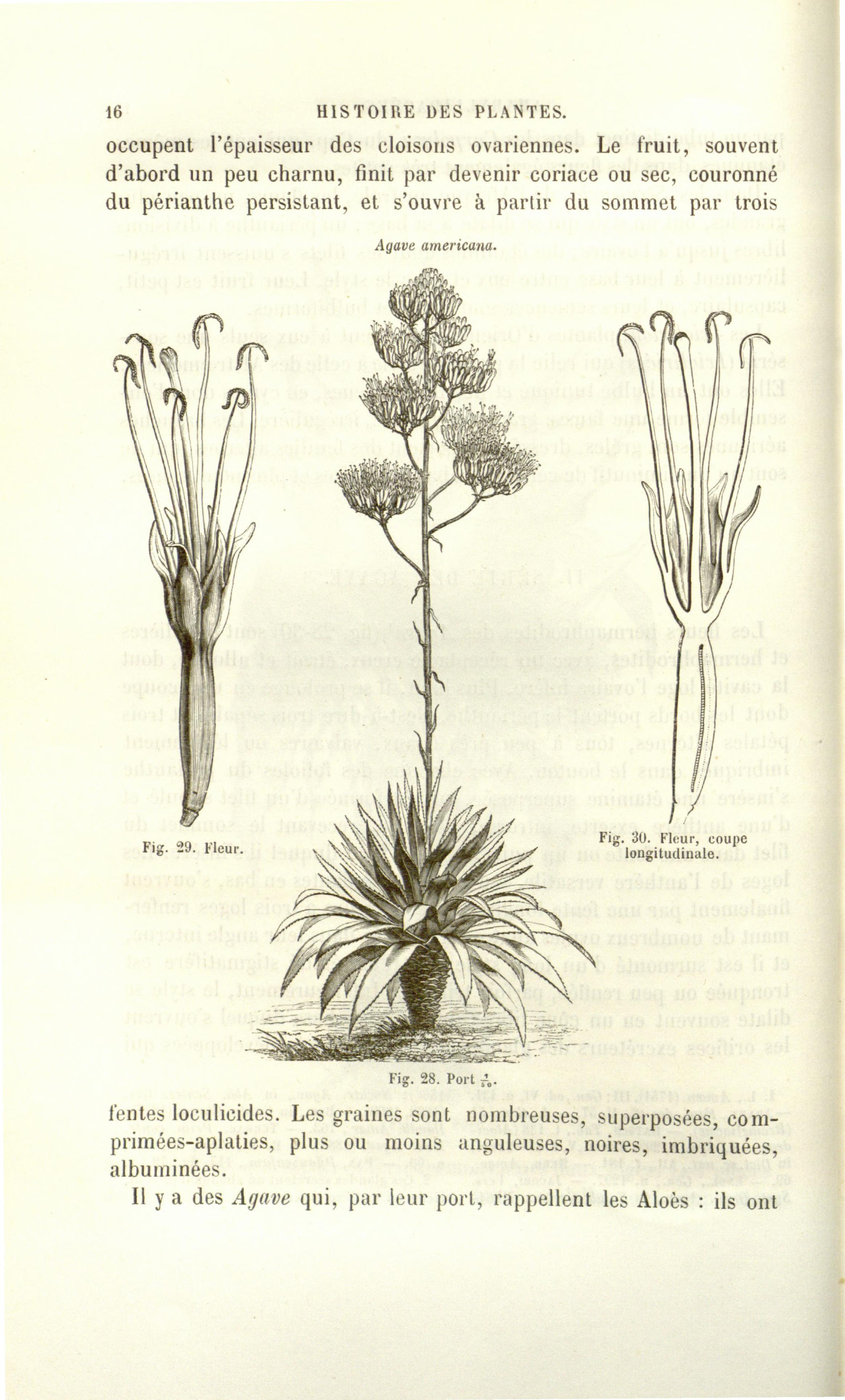 no full size  illustration available (3a)