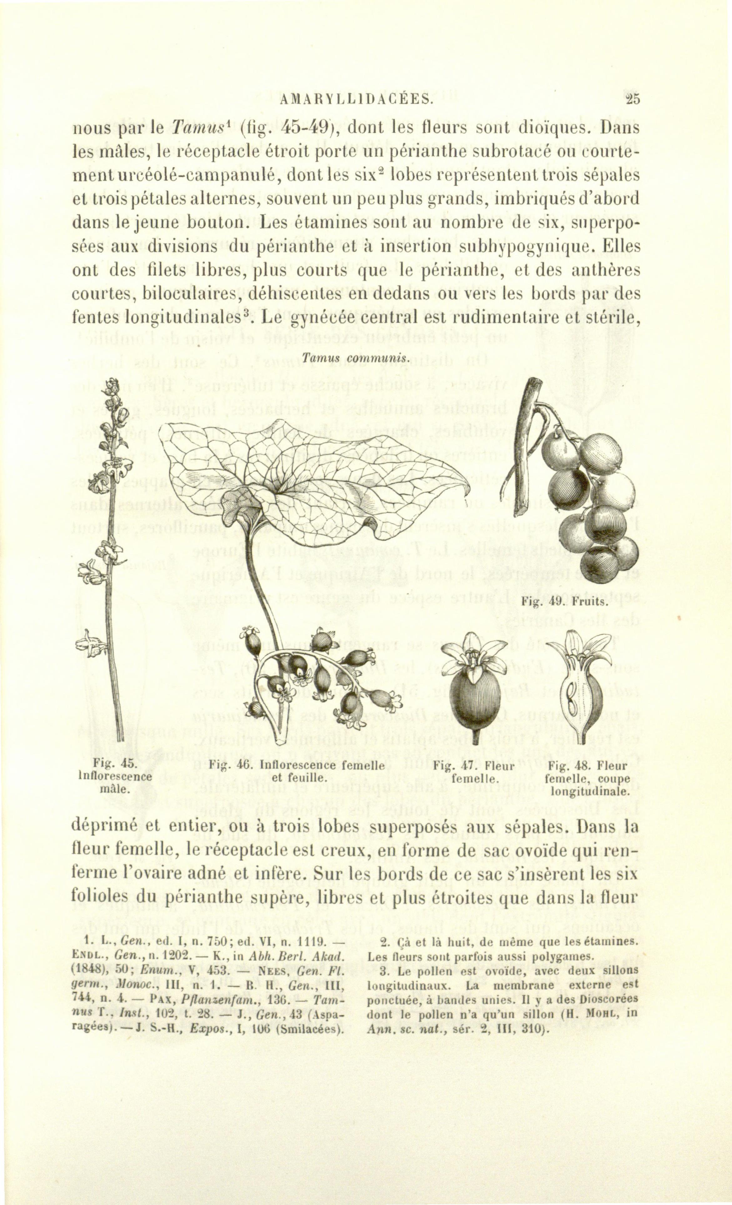 no full size  illustration available (3a)