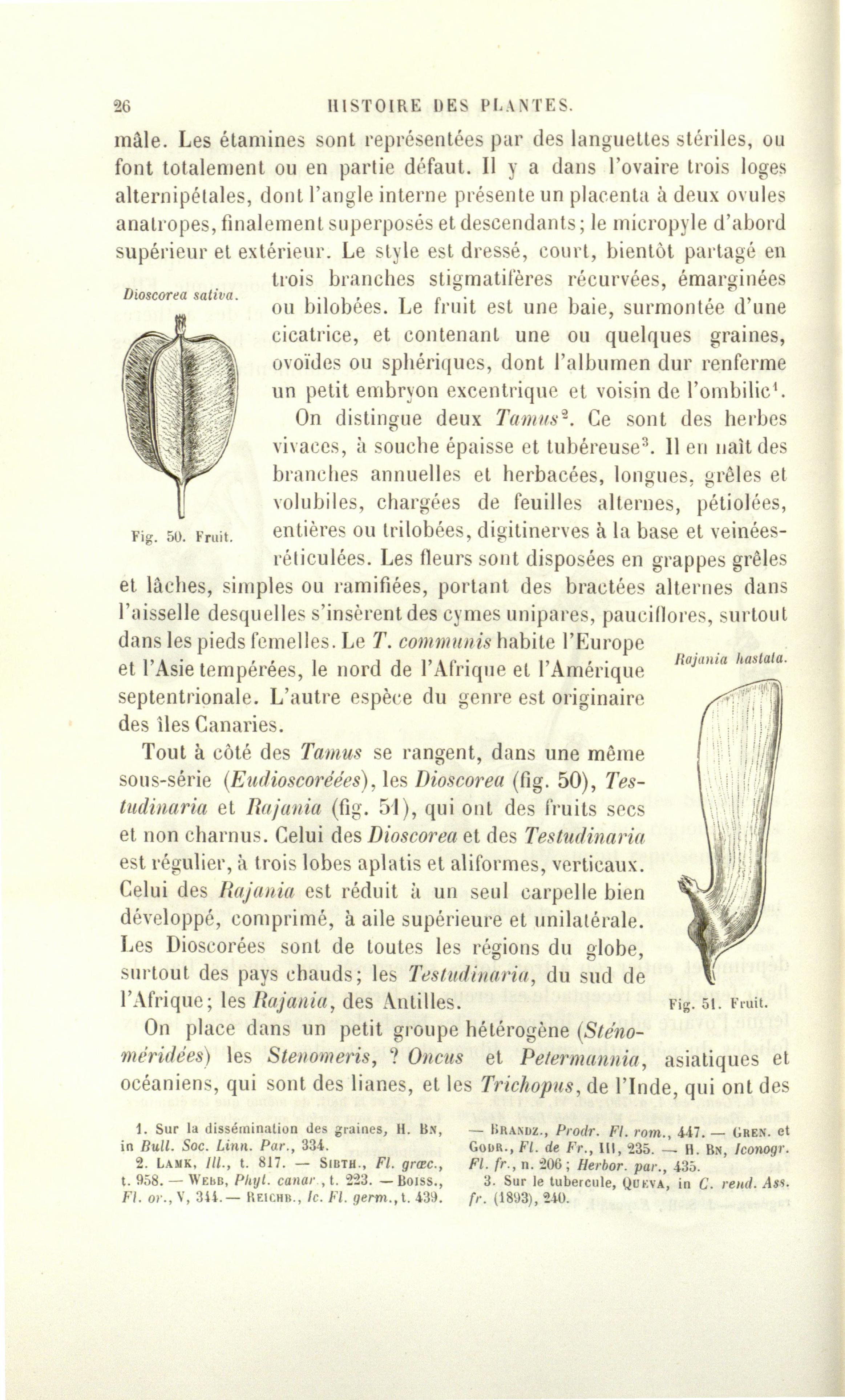 no full size  illustration available (3a)