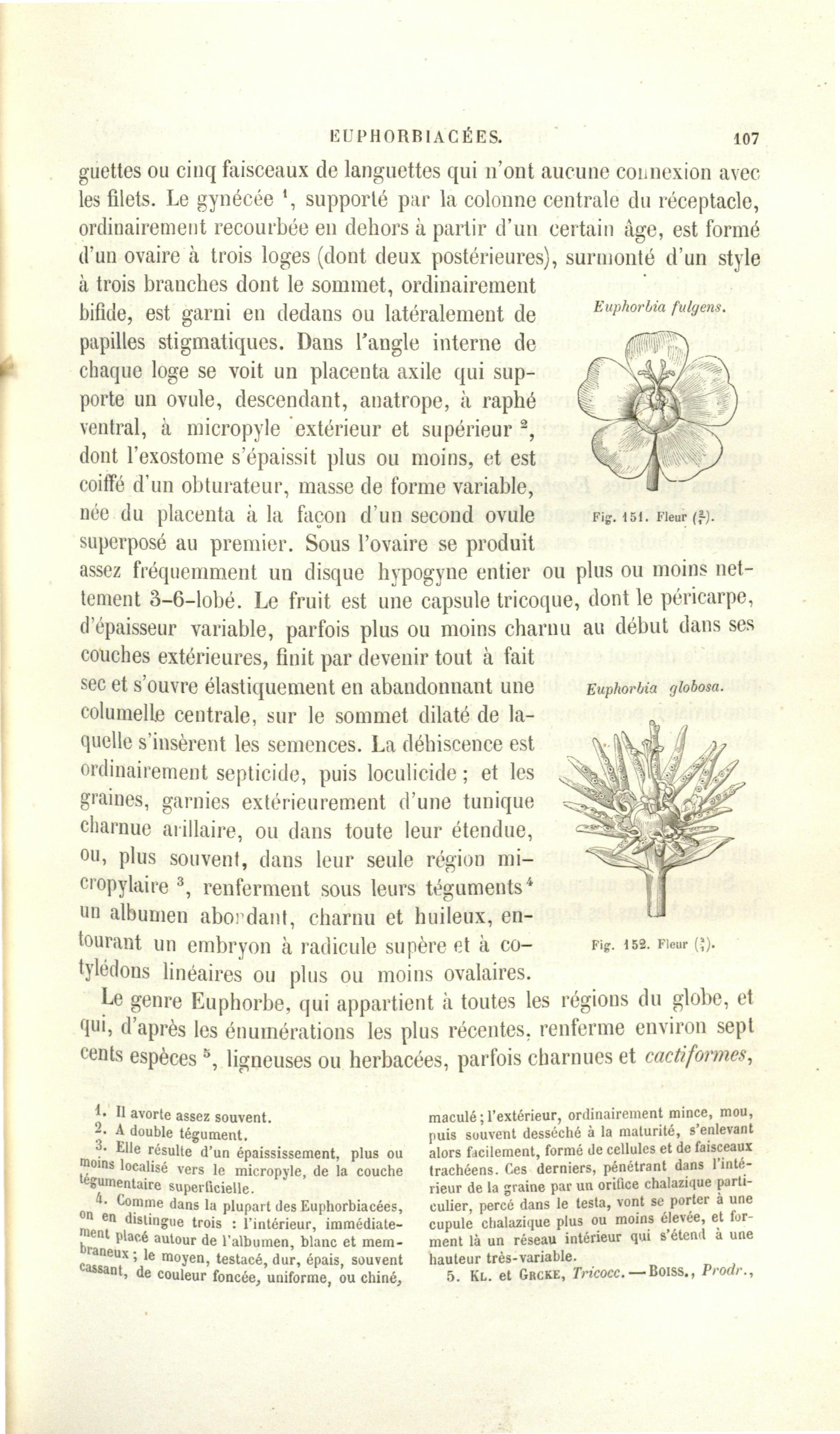 no full size  illustration available (3a)