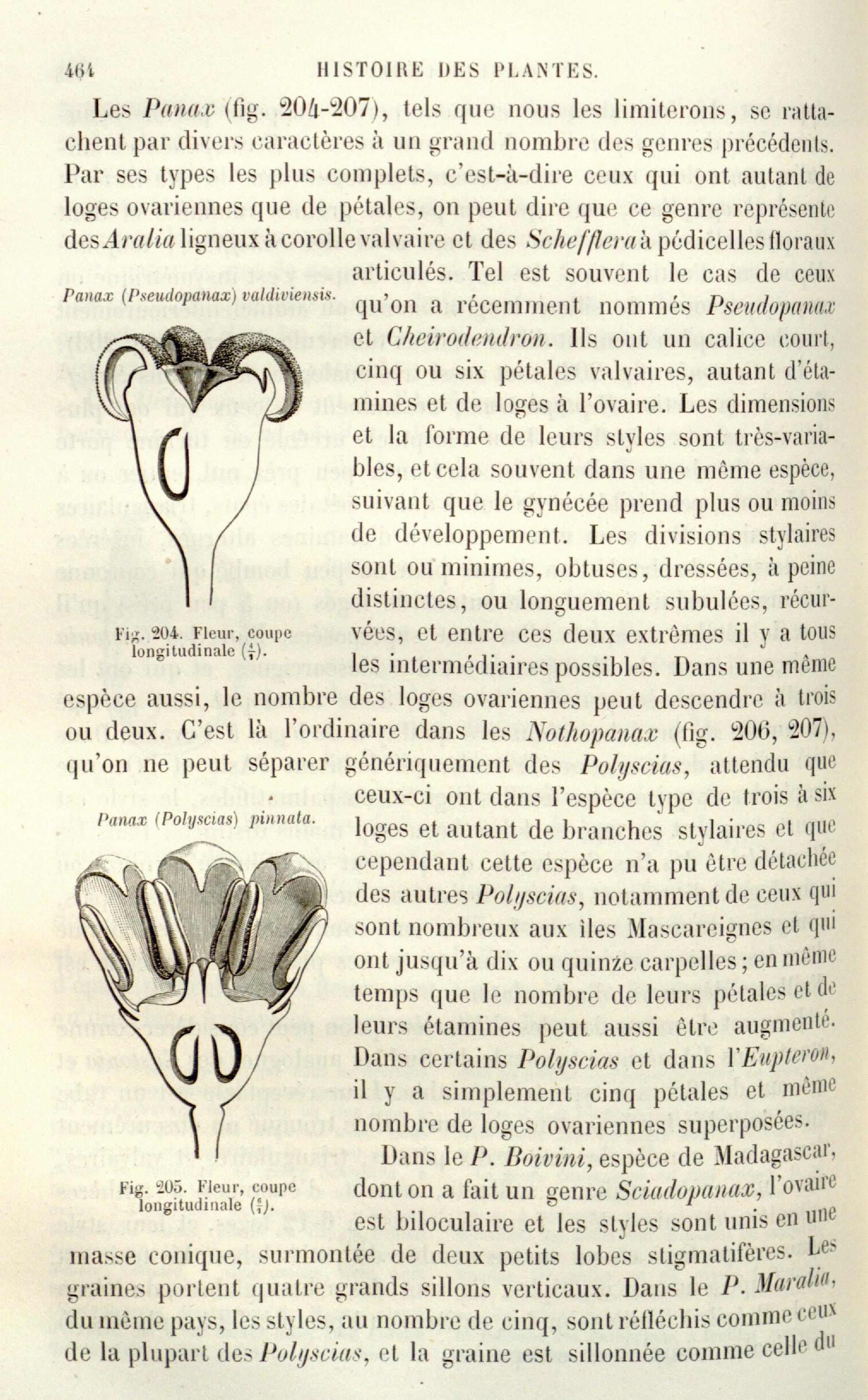 no full size  illustration available (3a)