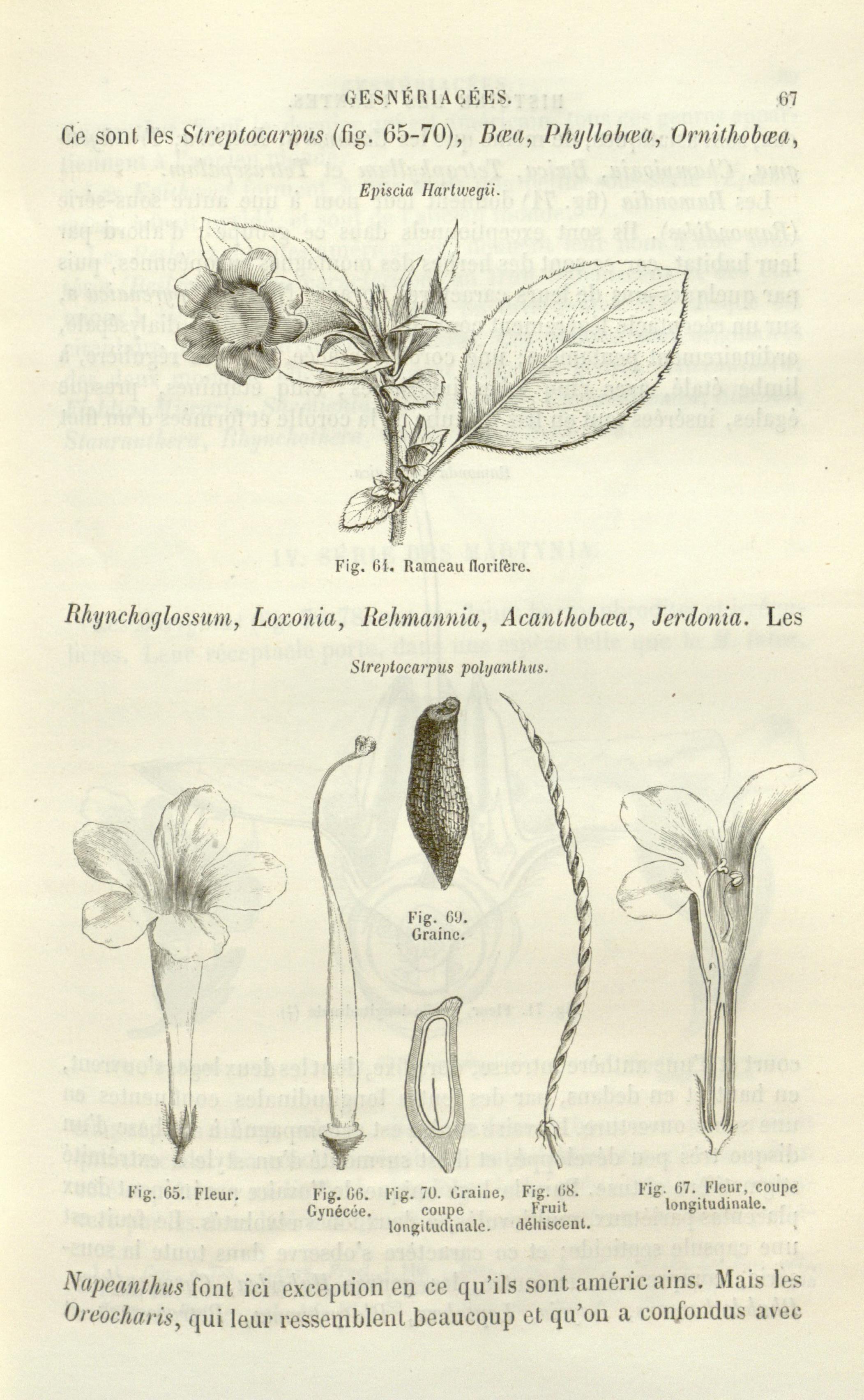 no full size  illustration available (3a)