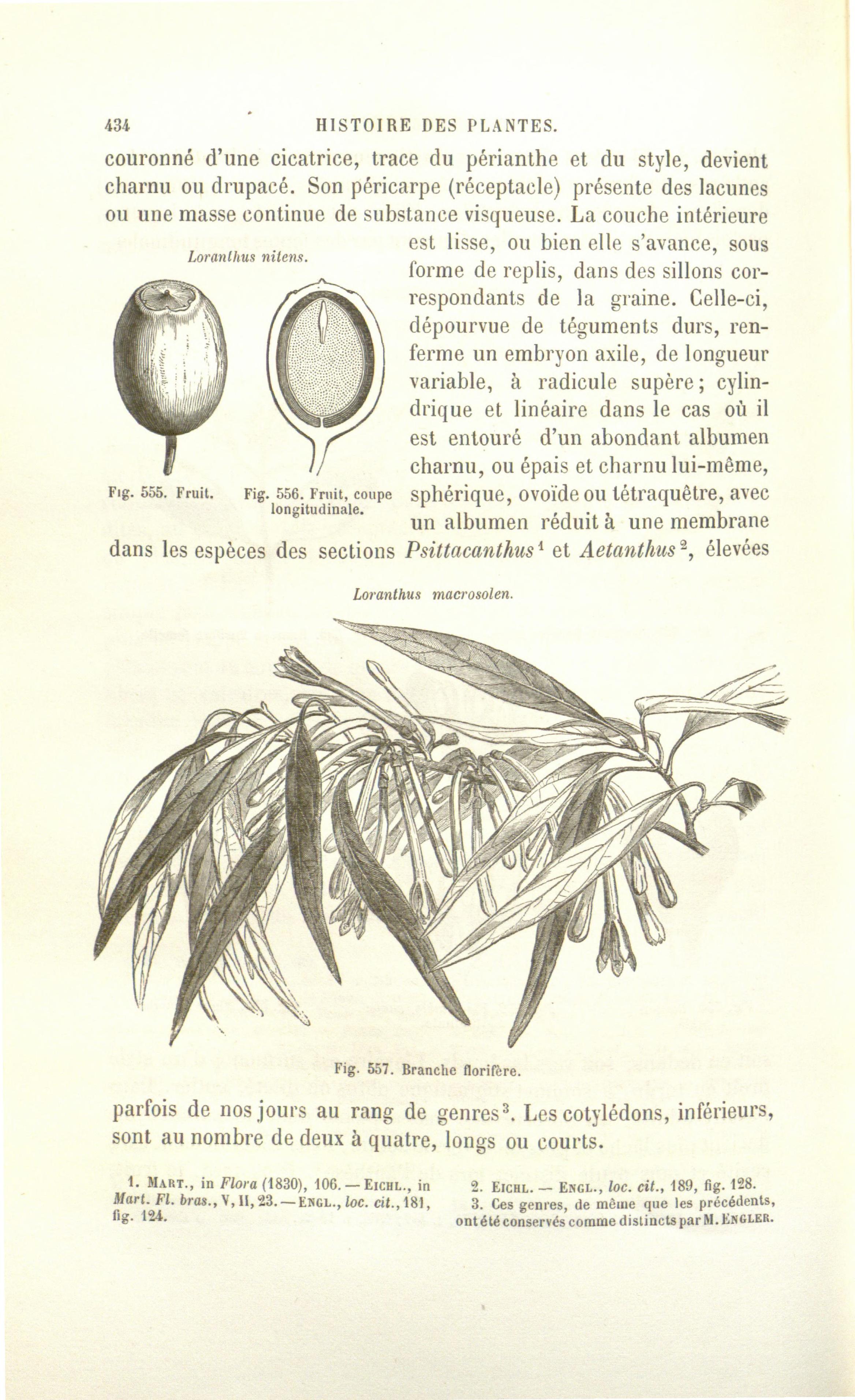 no full size  illustration available (3a)