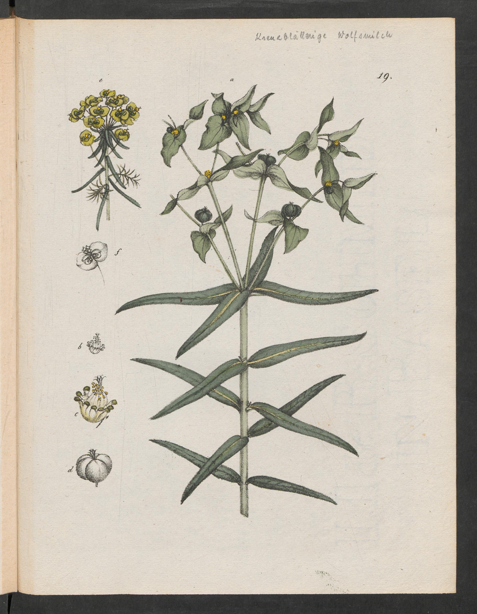 no full size  illustration available (3a)