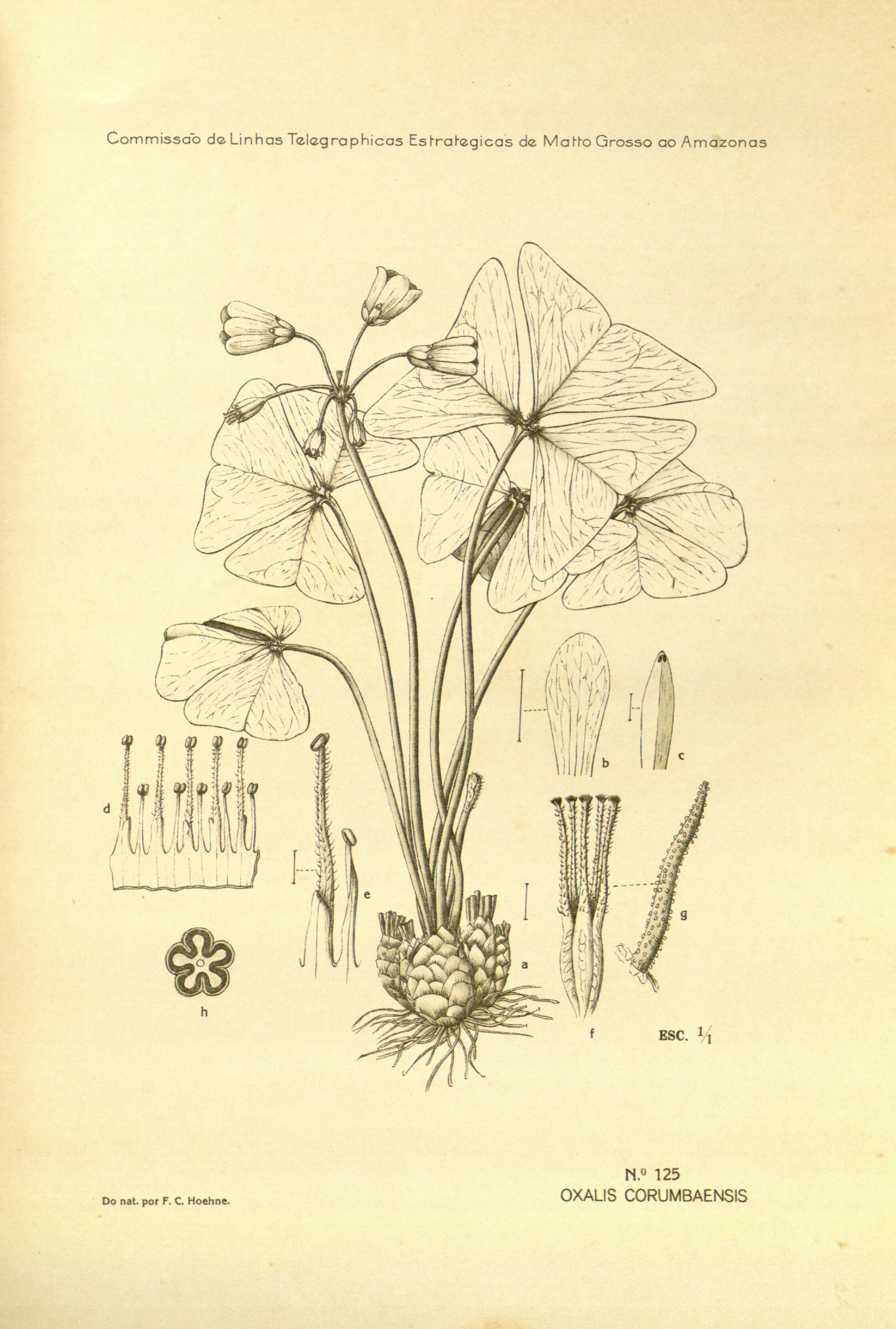 no full size  illustration available (3a)