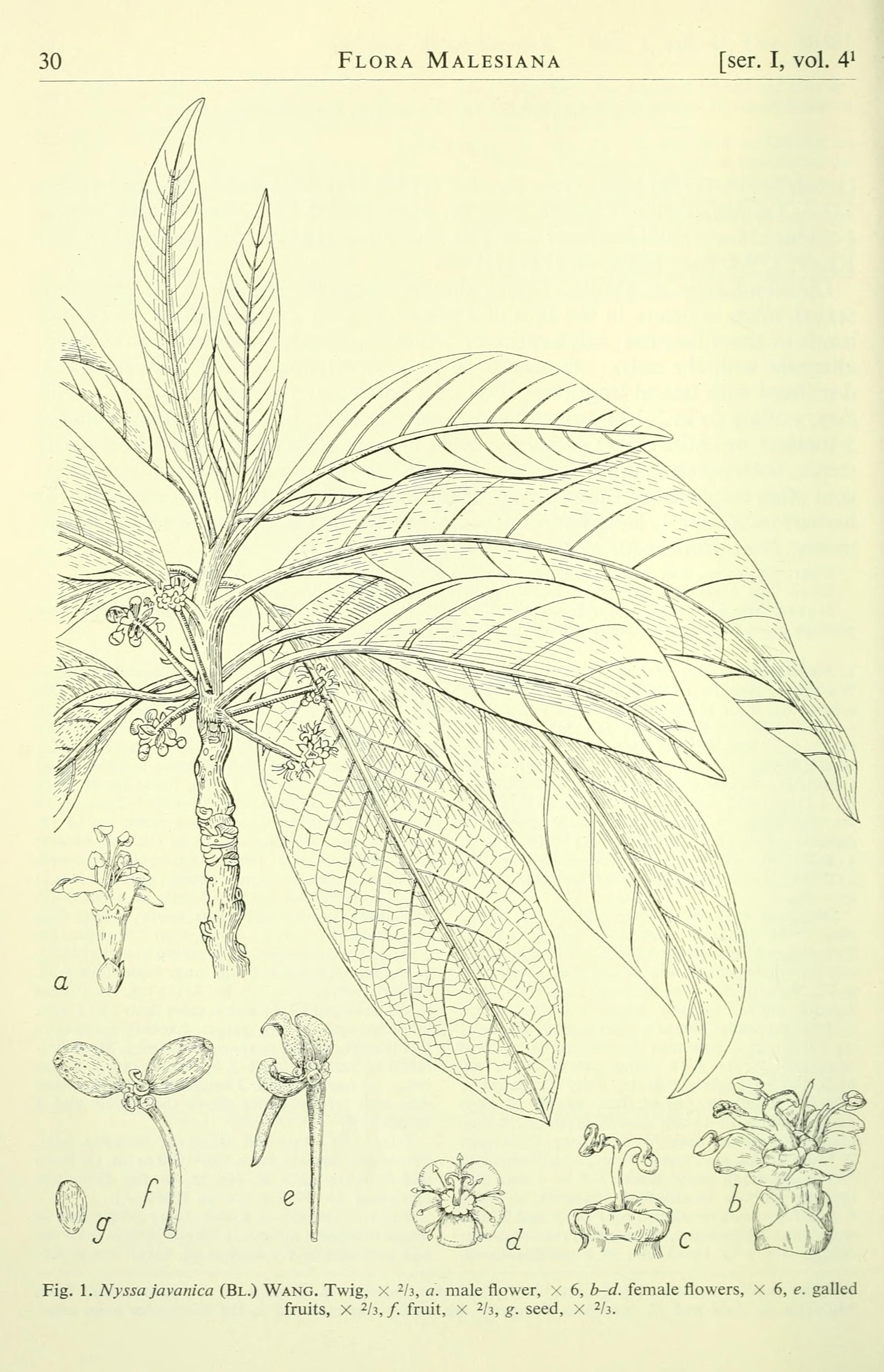 no full size  illustration available (3a)