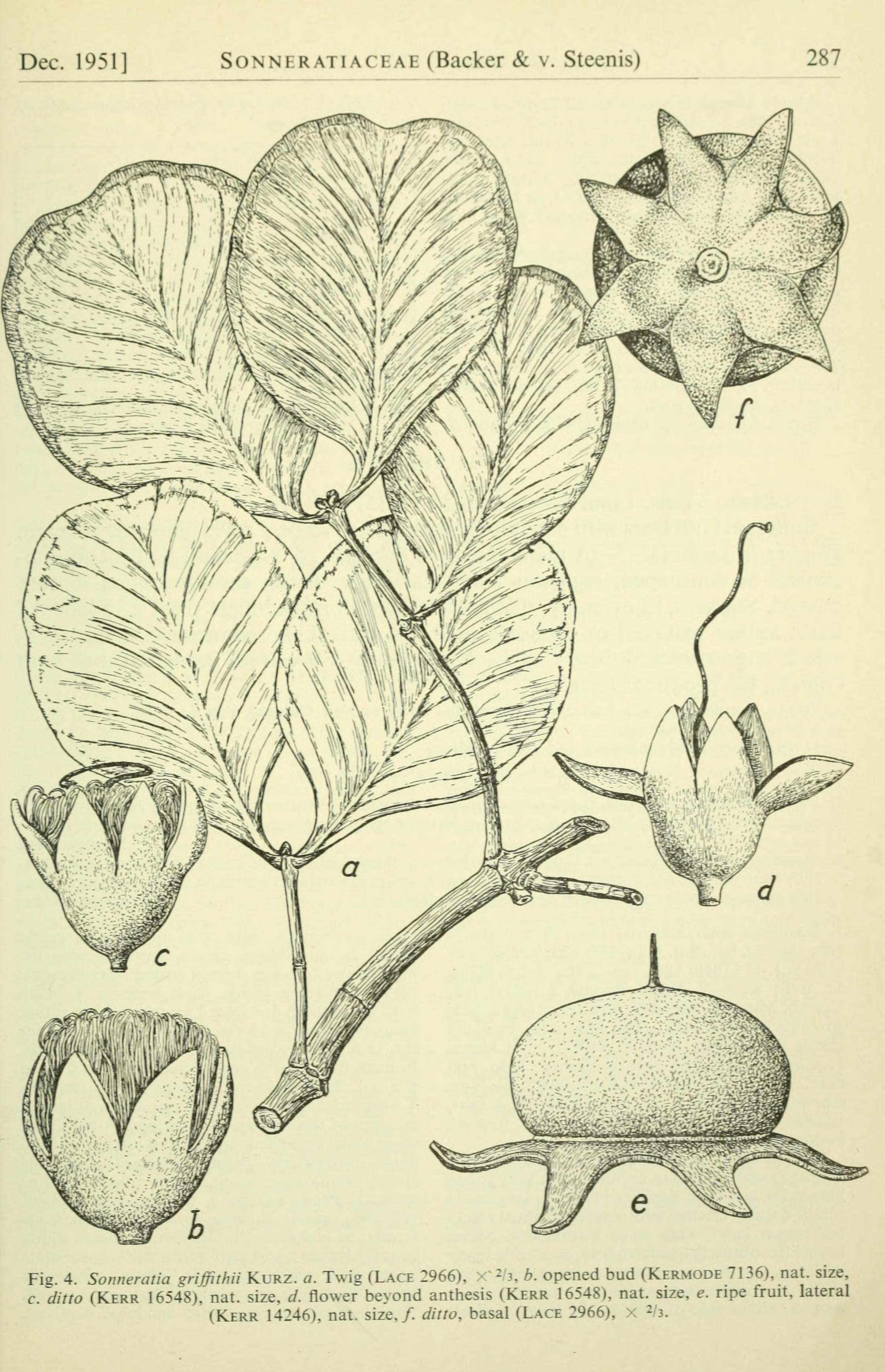 no full size  illustration available (3a)