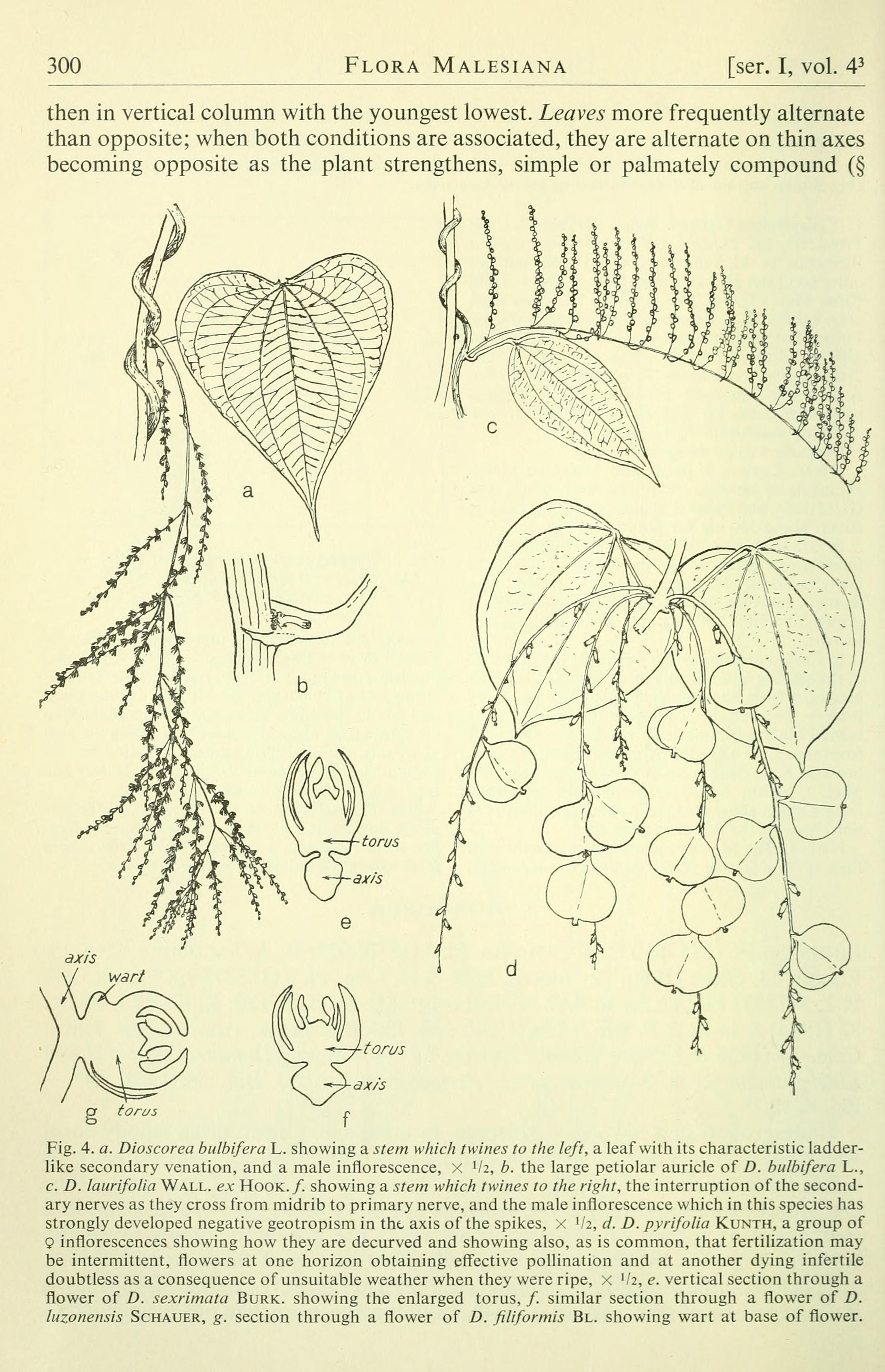 no full size  illustration available (3a)