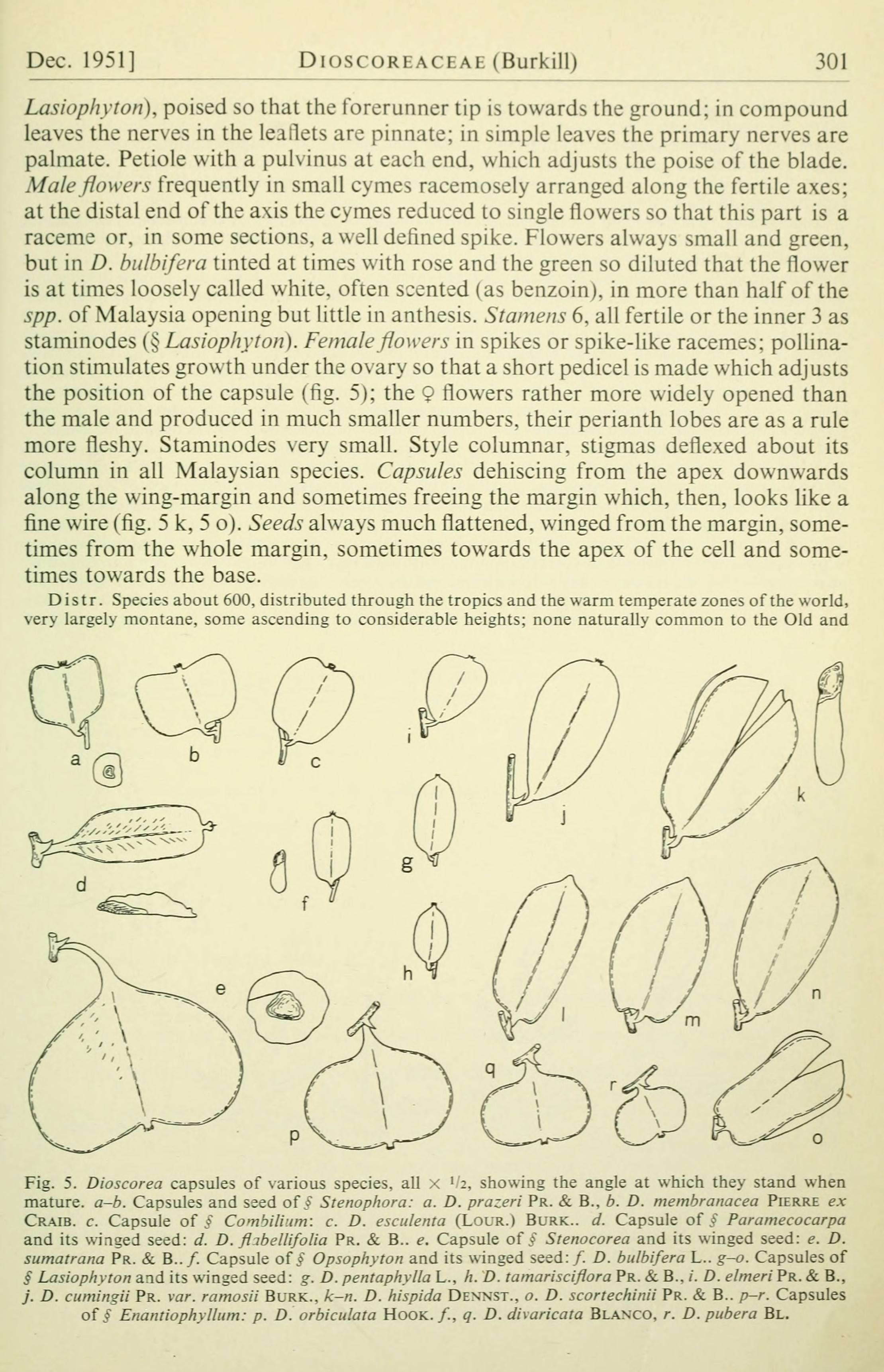 no full size  illustration available (3a)