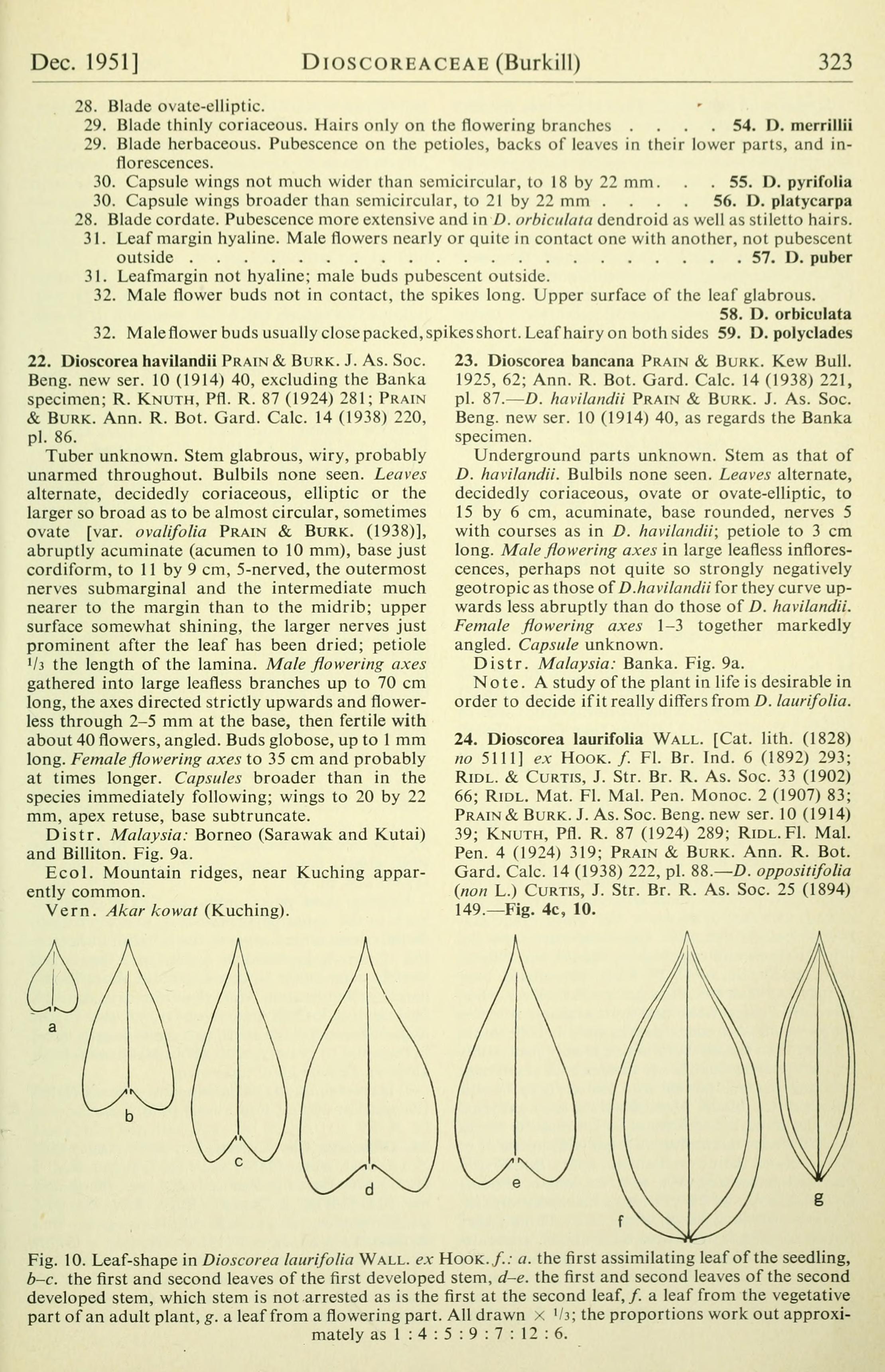 no full size  illustration available (3a)