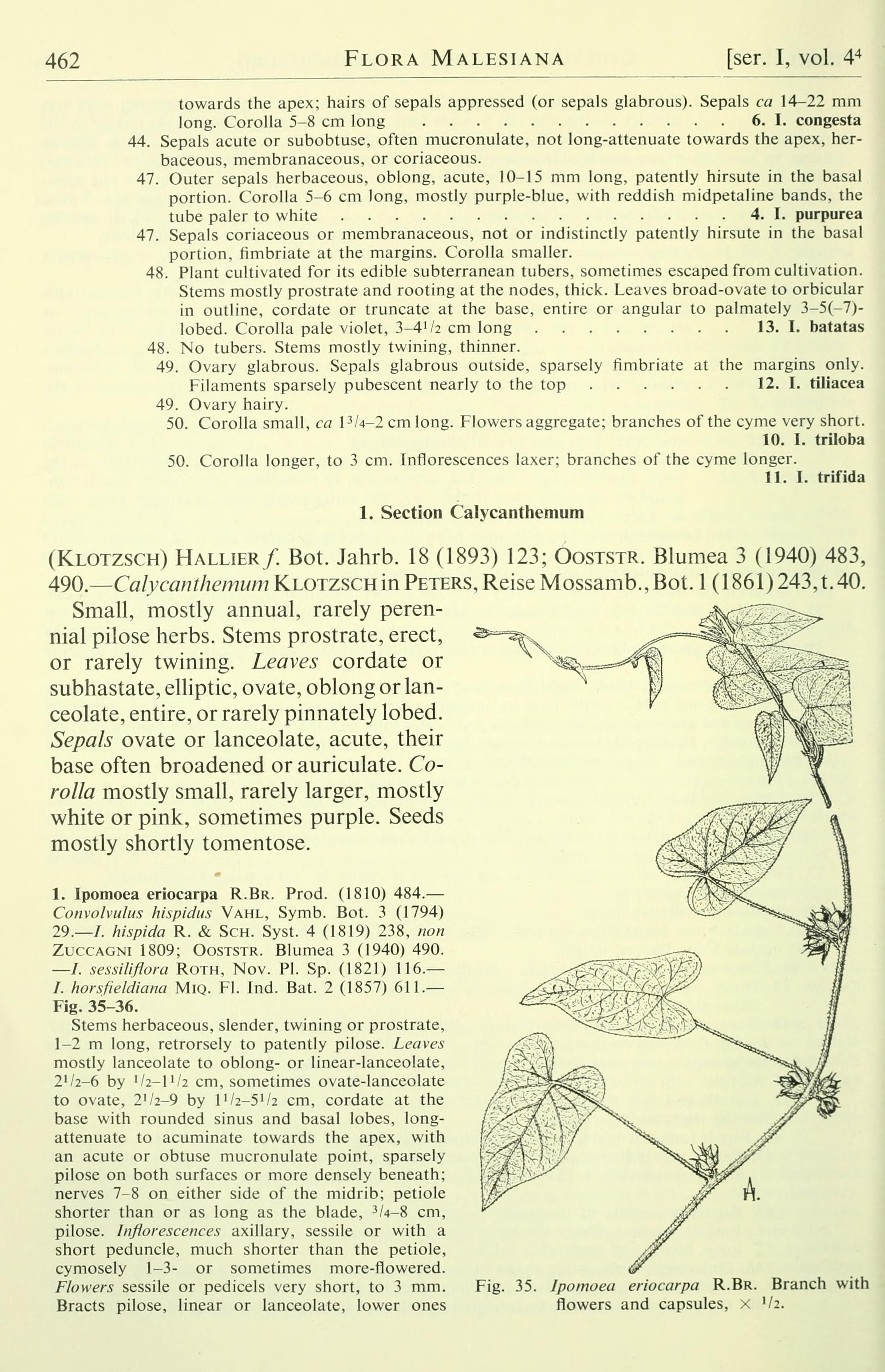 no full size  illustration available (3a)