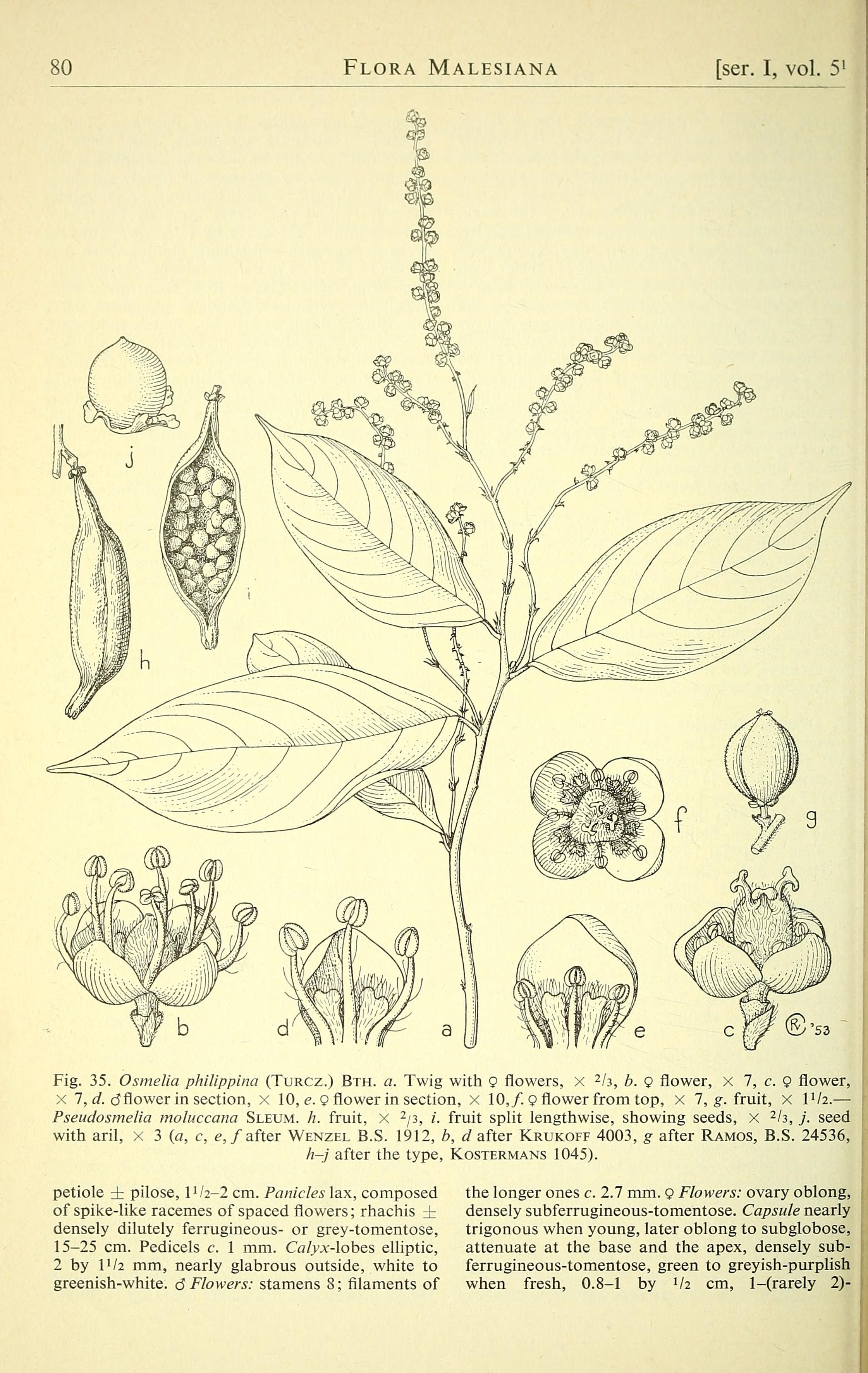 no full size  illustration available (3a)