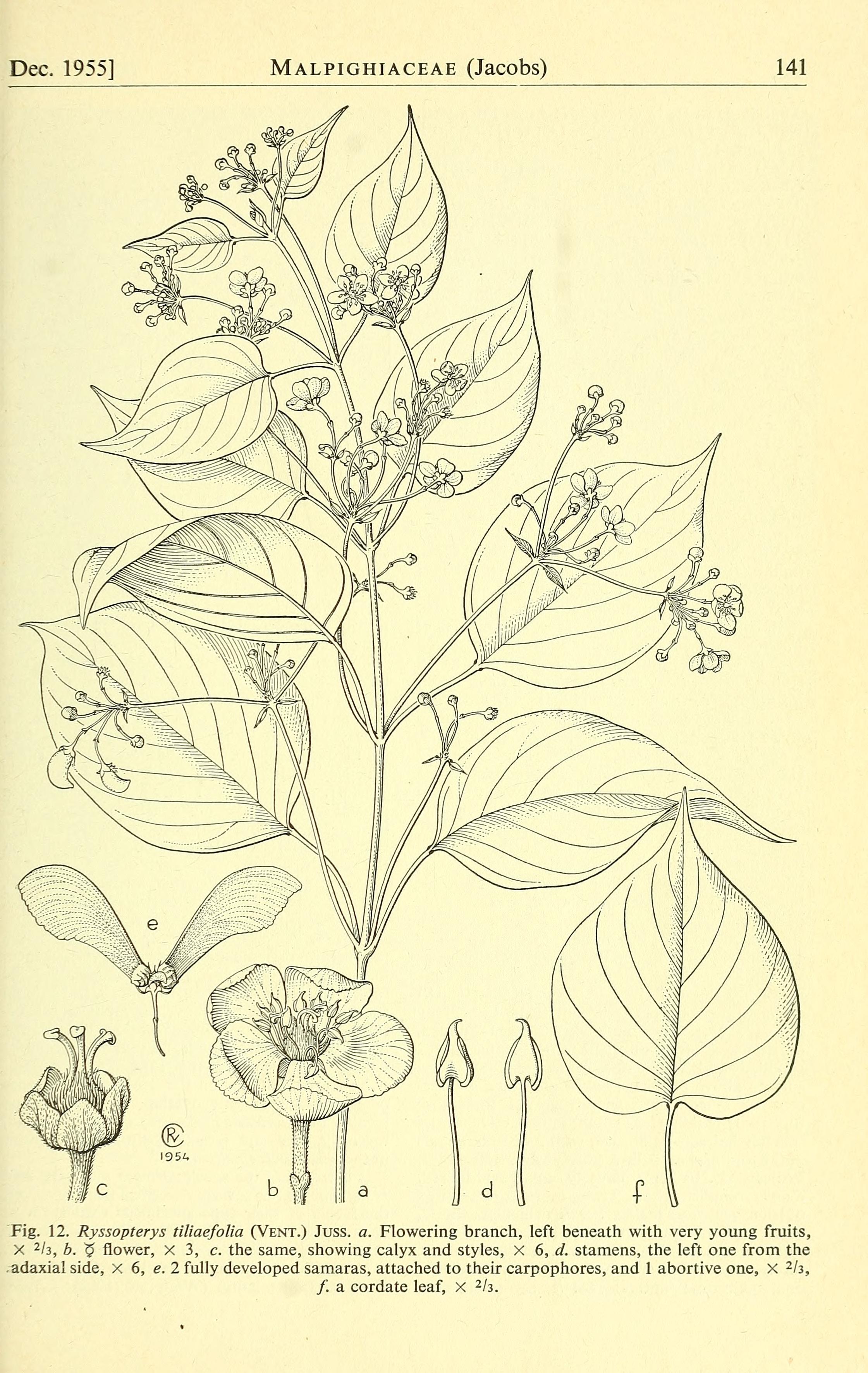 no full size  illustration available (3a)