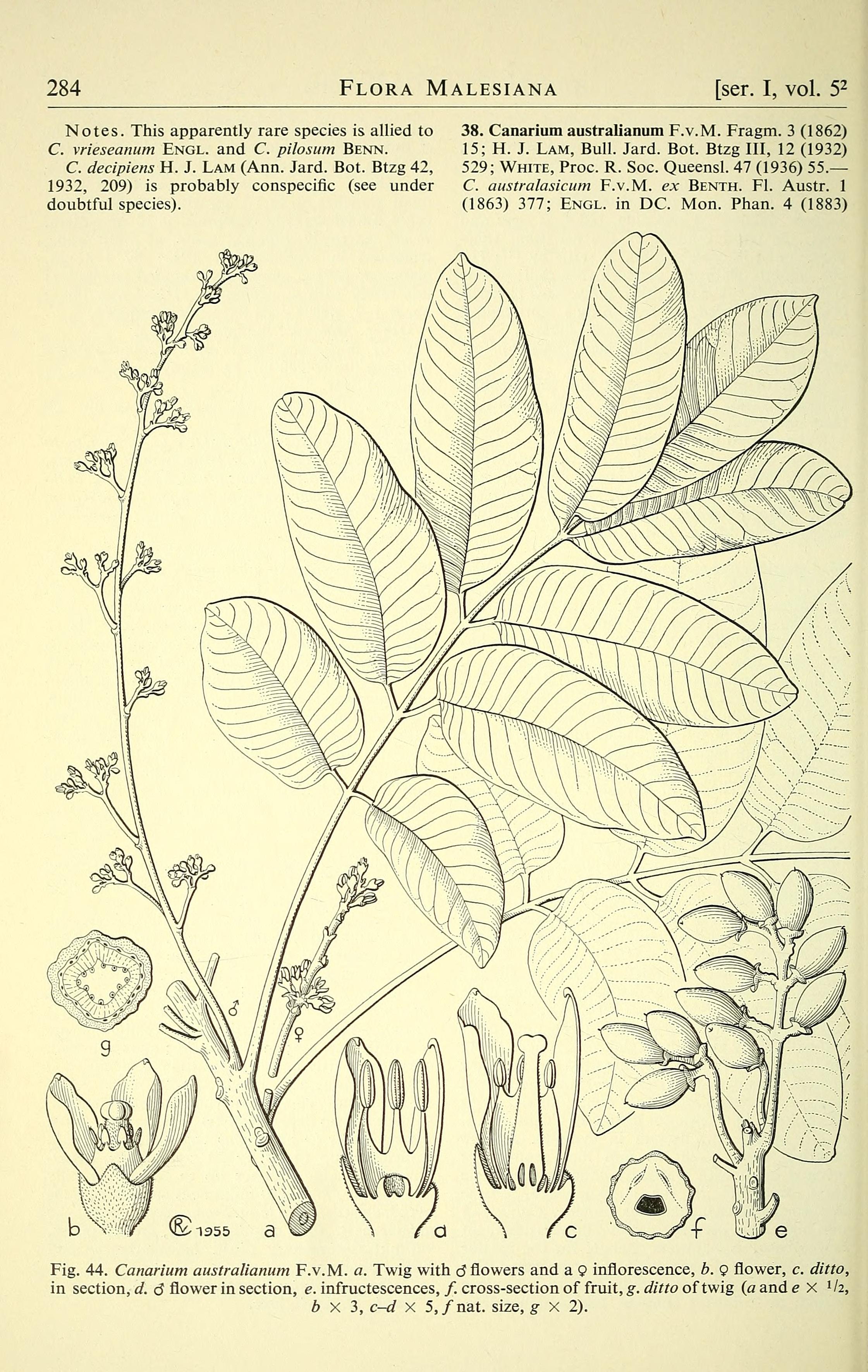 no full size  illustration available (3a)