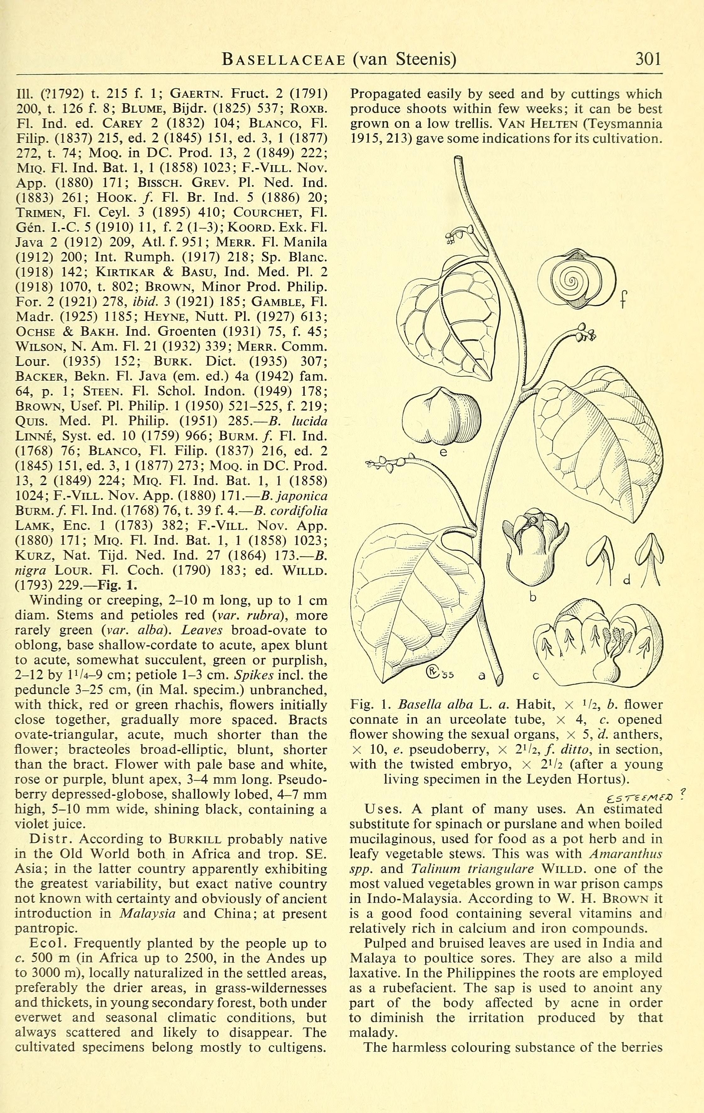 no full size  illustration available (3a)