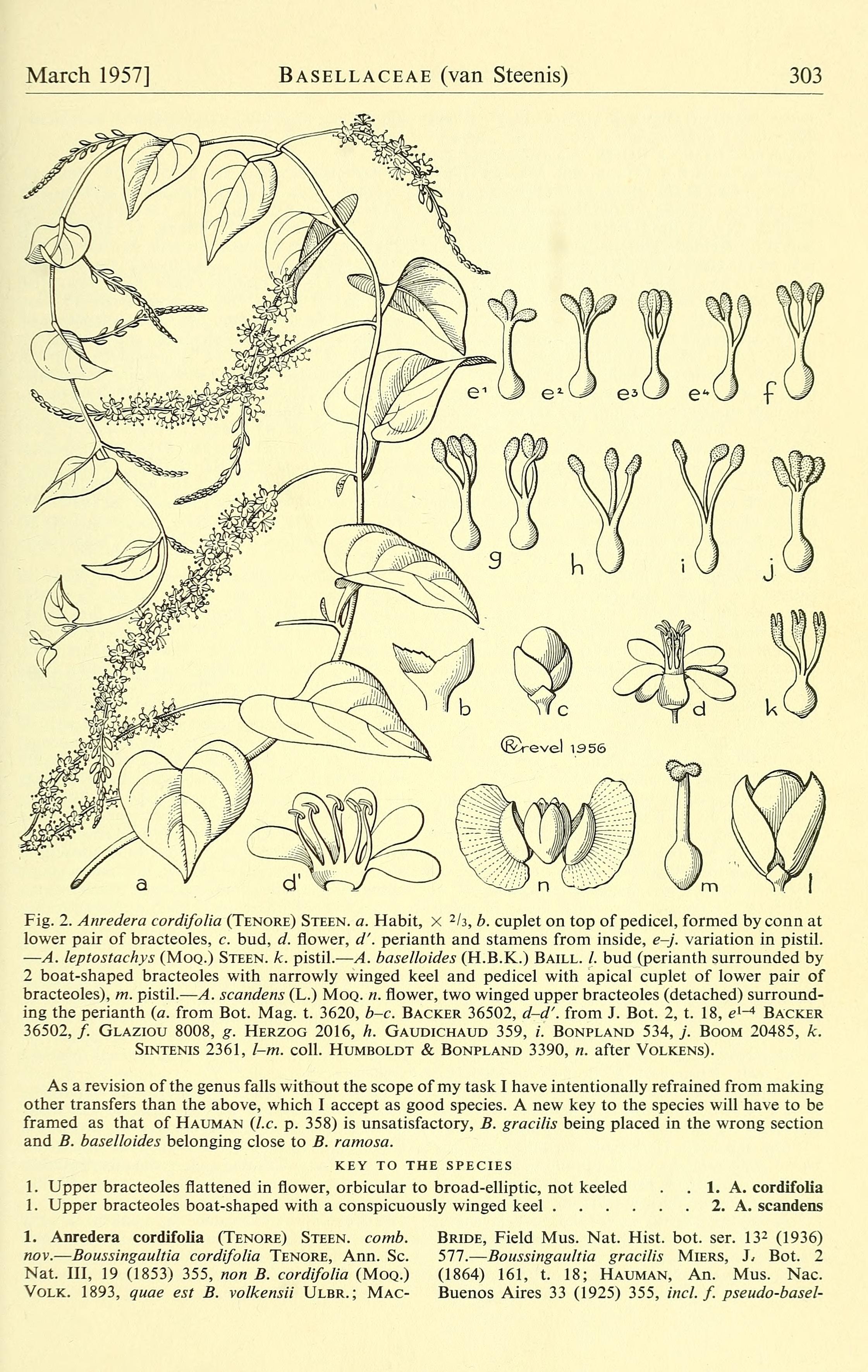 no full size  illustration available (3a)