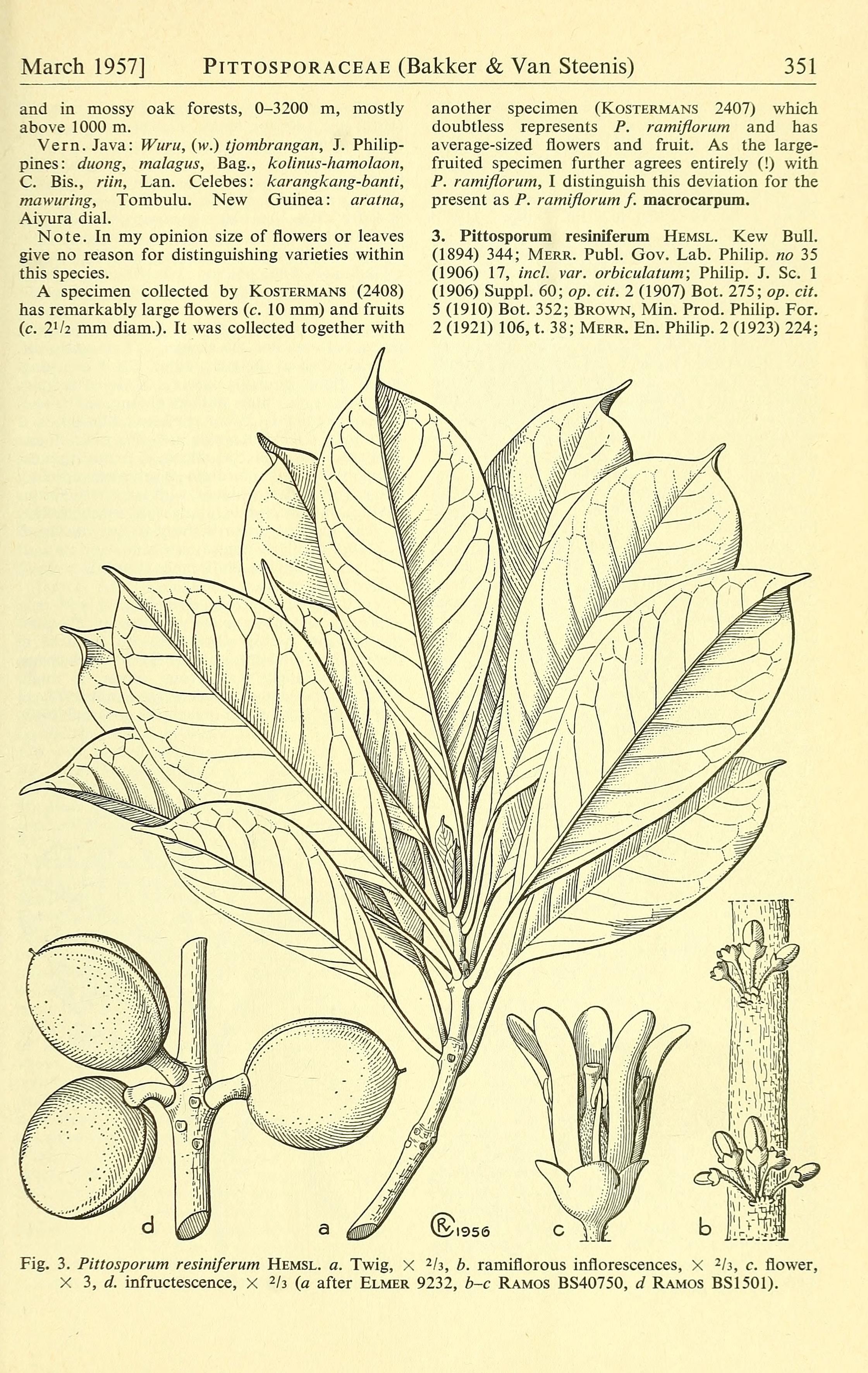 no full size  illustration available (3a)